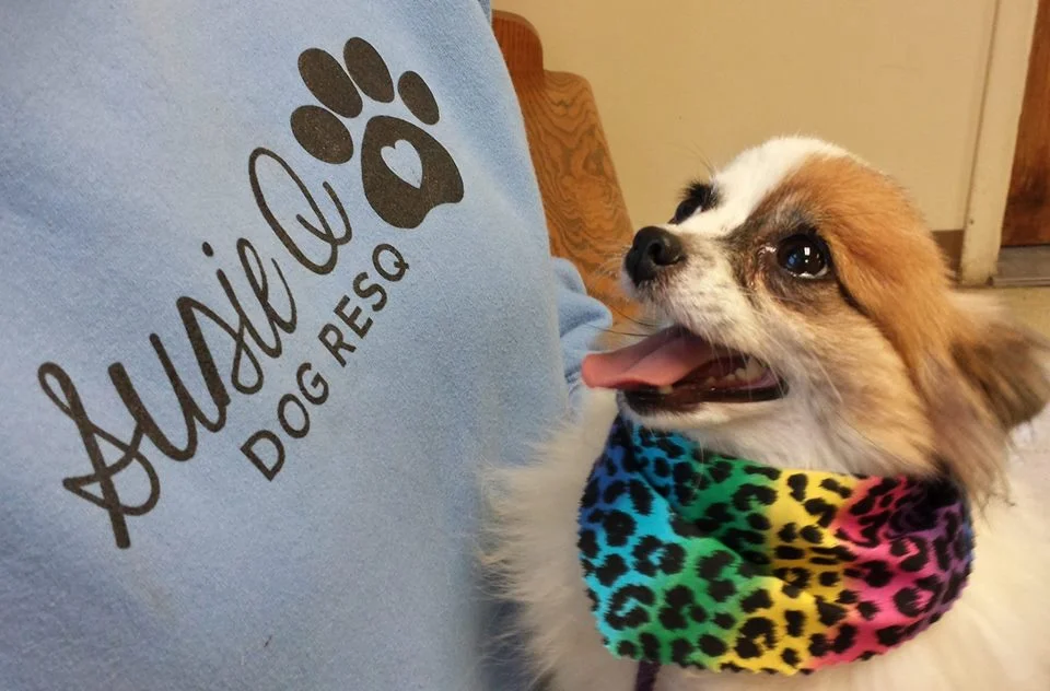 Pawbrokers Jewelry Party: Part 2!