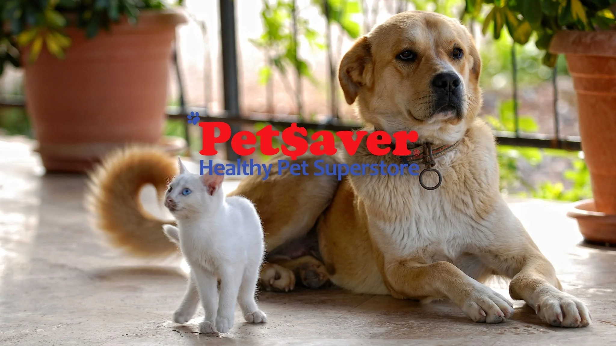 Meet and Greet: Greece