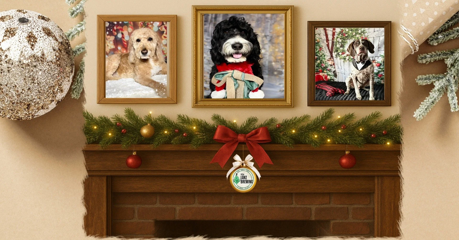 Howliday Portraits for Charity