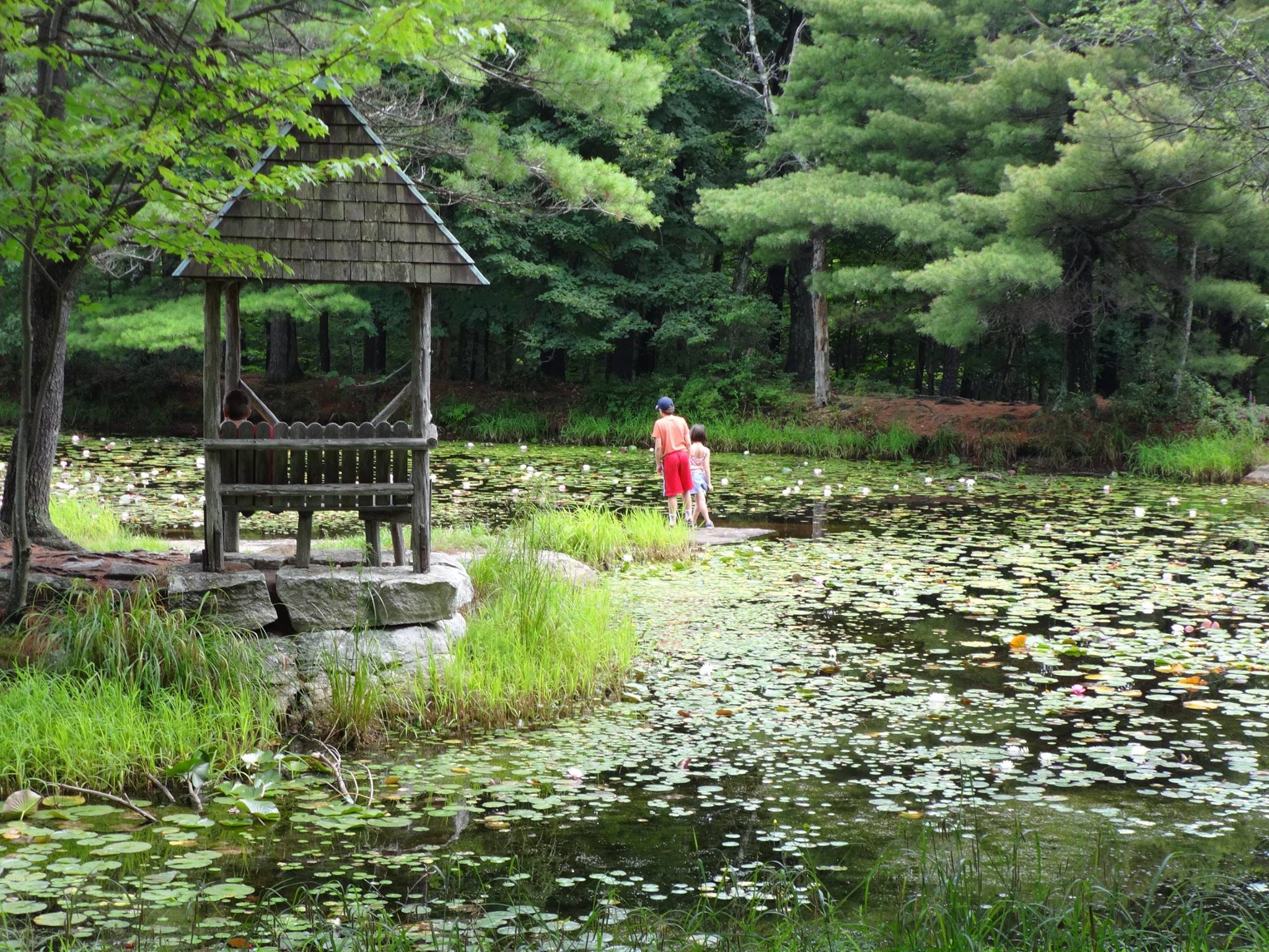 Exploring the Lily Pad Pond (Koehler Foisy photo)