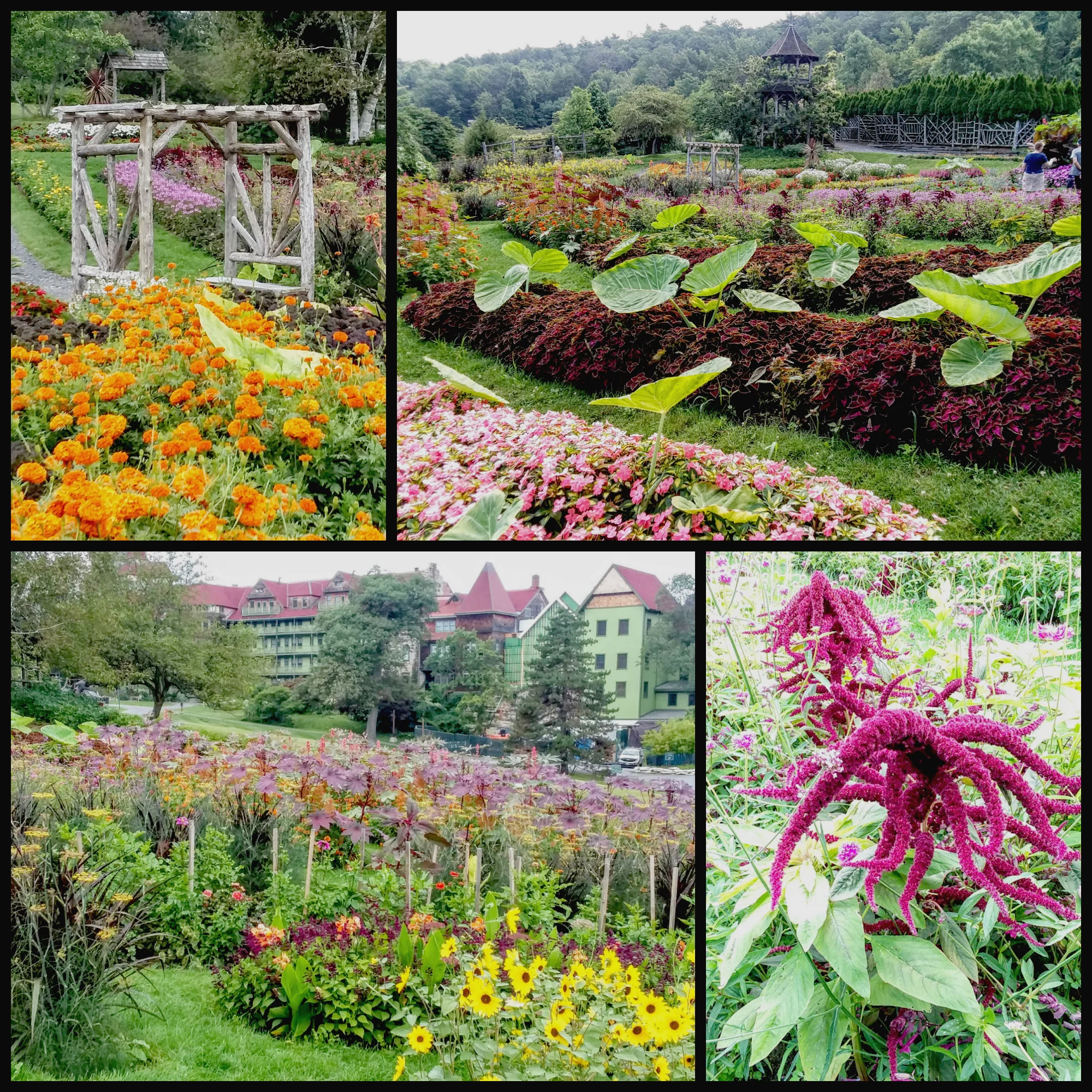 Jubilee Garden 2019