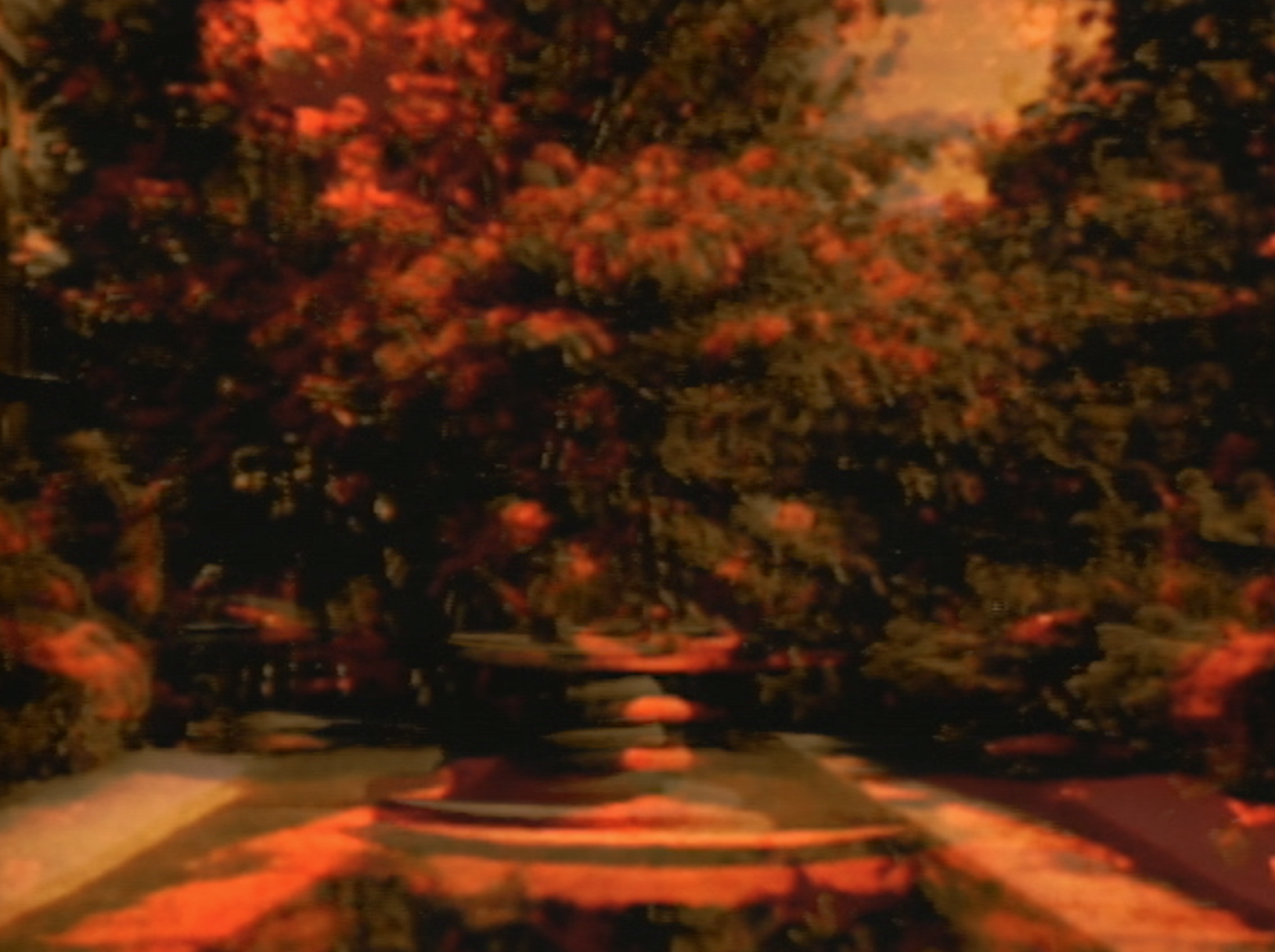 Screen Shot 2018-03-23 at 12.31.31 PM.png