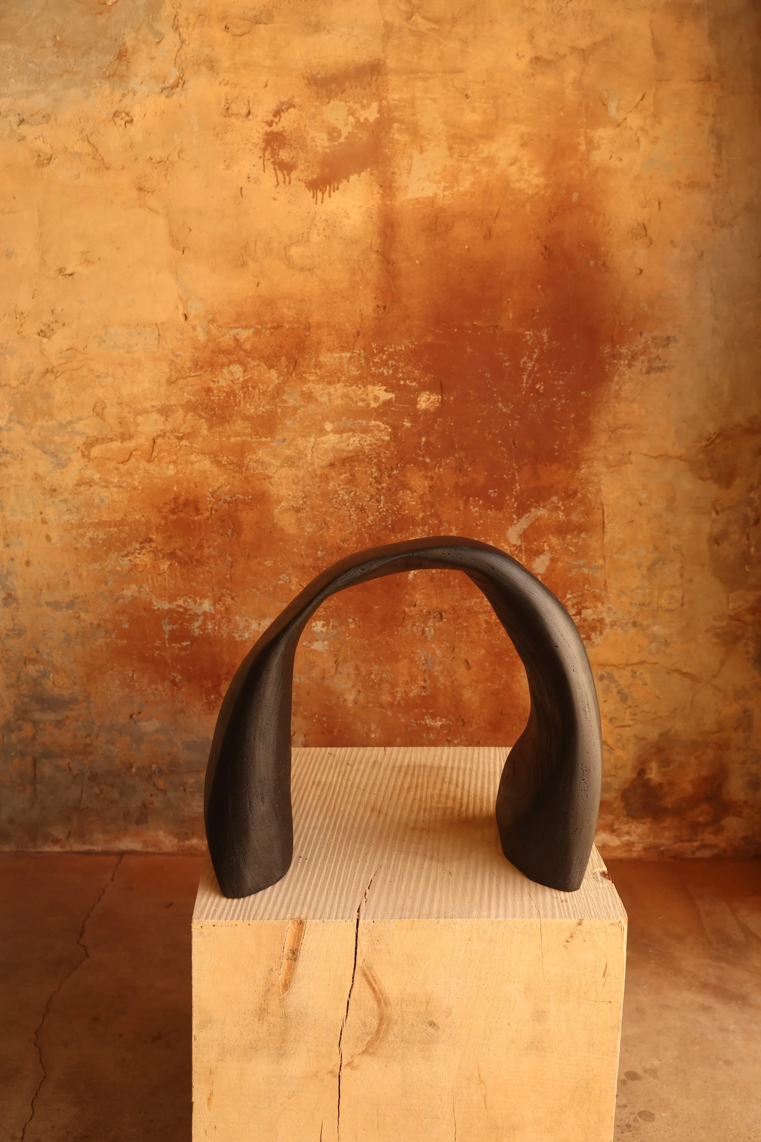 20250327_KarloGesnerPhotography - Bancroft_Death_0001.JPG