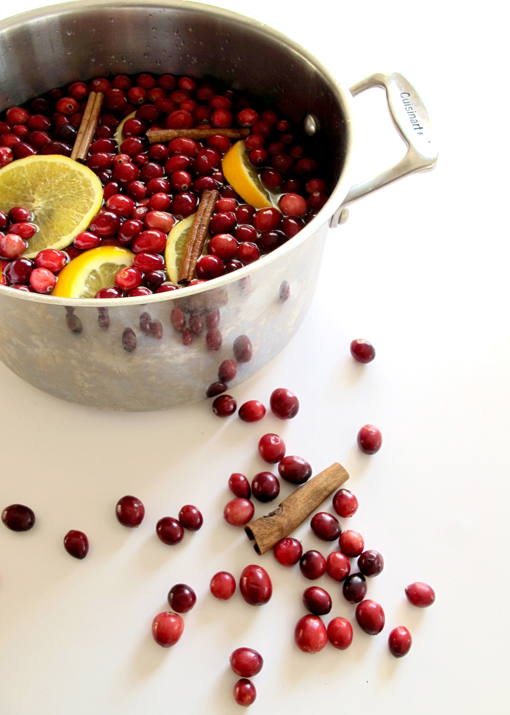 Classic Cranberry Stovetop Potpourri — Tag & Tibby Design