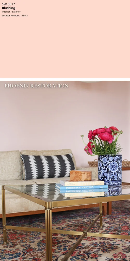 The Best 5 Pink Paint Colors Tag Tibby Design