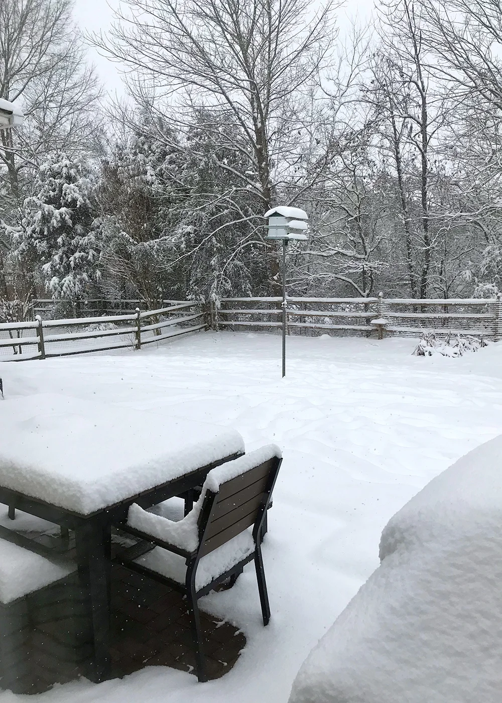 snow.jpg