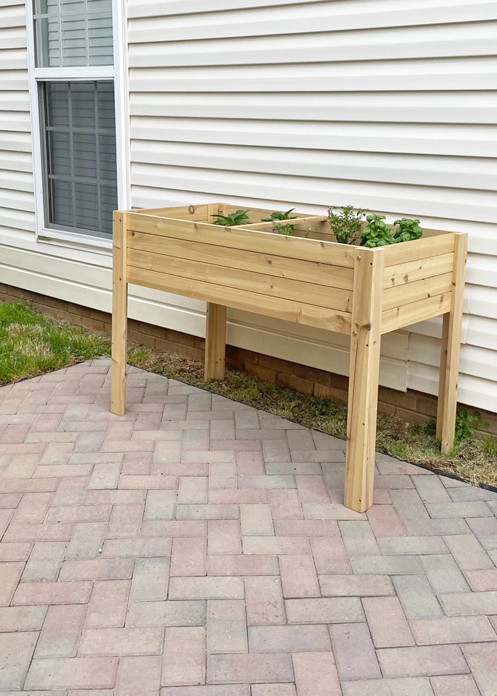 15 Rental Friendly Vertical & Raised Garden Ideas — Tag & Tibby Design