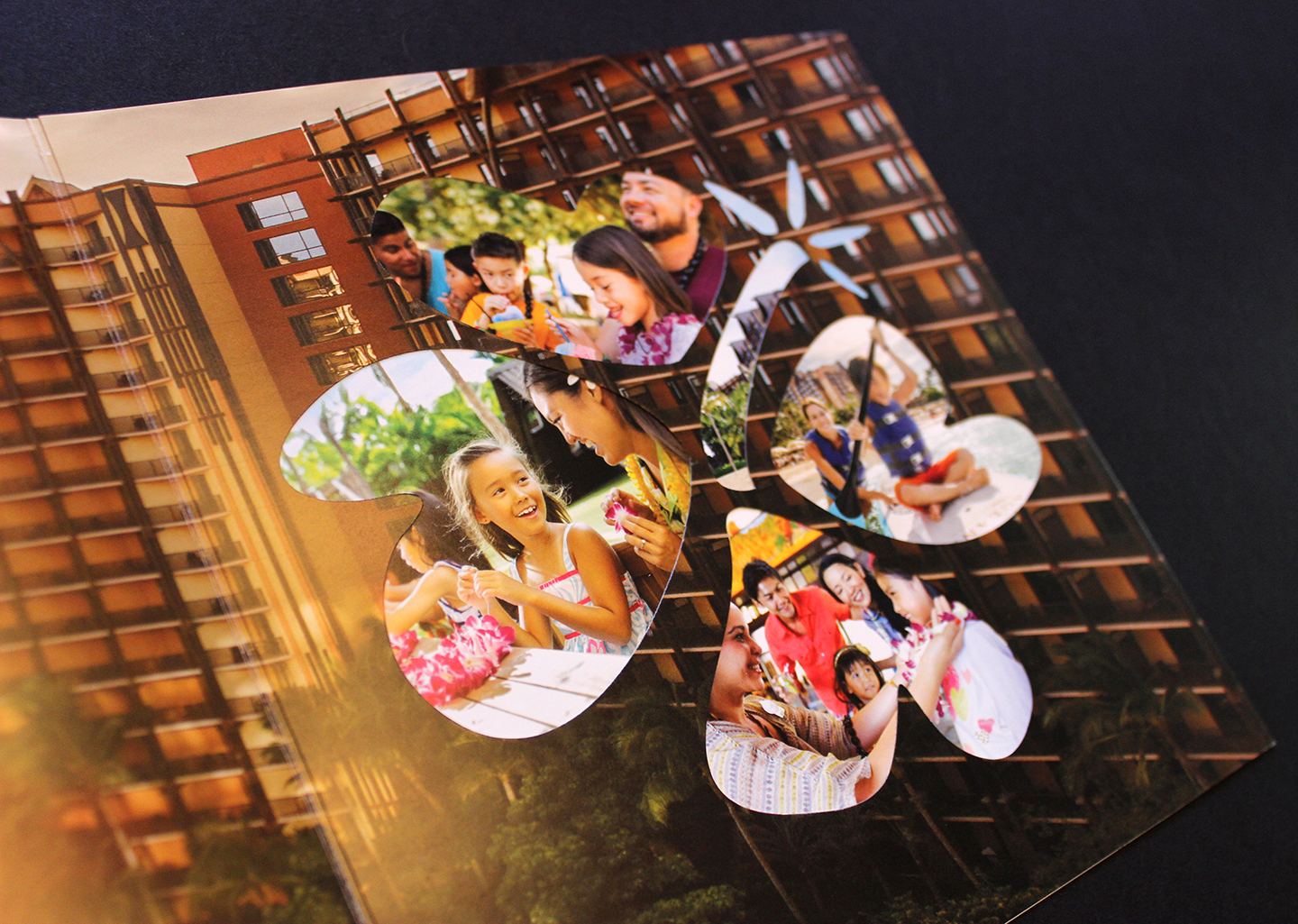 Detailed sample of the mailer interior with the first panel opened; Detail of dye cut showing lifestyle photography.