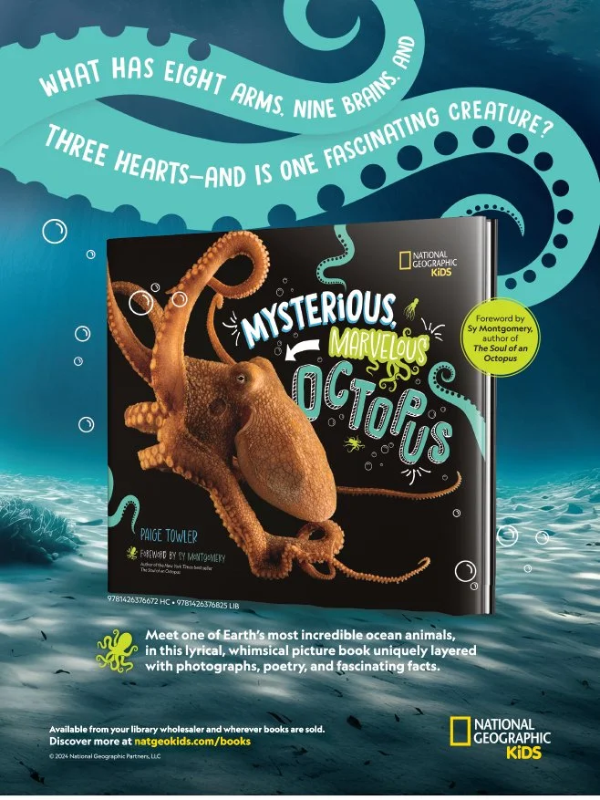 Mysterious Marvelous Octopus Print Advertisement for National Geographic Kids
