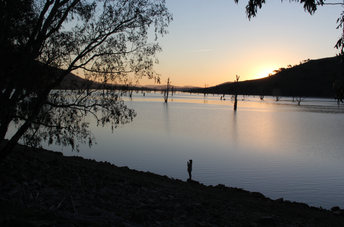 The sun was just settling as we drove by this lake filed with trees. Took a moment to stop and soak in the beauty :)