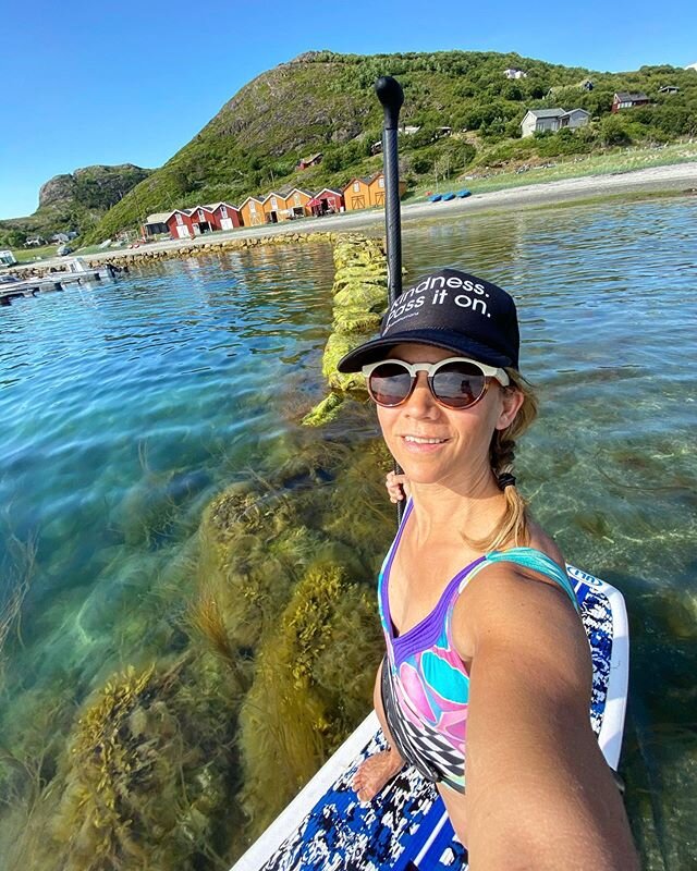 Loving the Norwegian summer ☀️ Visiting #stokk&oslash;ya this weekend, an island across the fjord from Trondheim. It was 30 C , almost no wind and crystal clear water Toda and it made for a perfect #sup adventure to observe all the different seaweeds