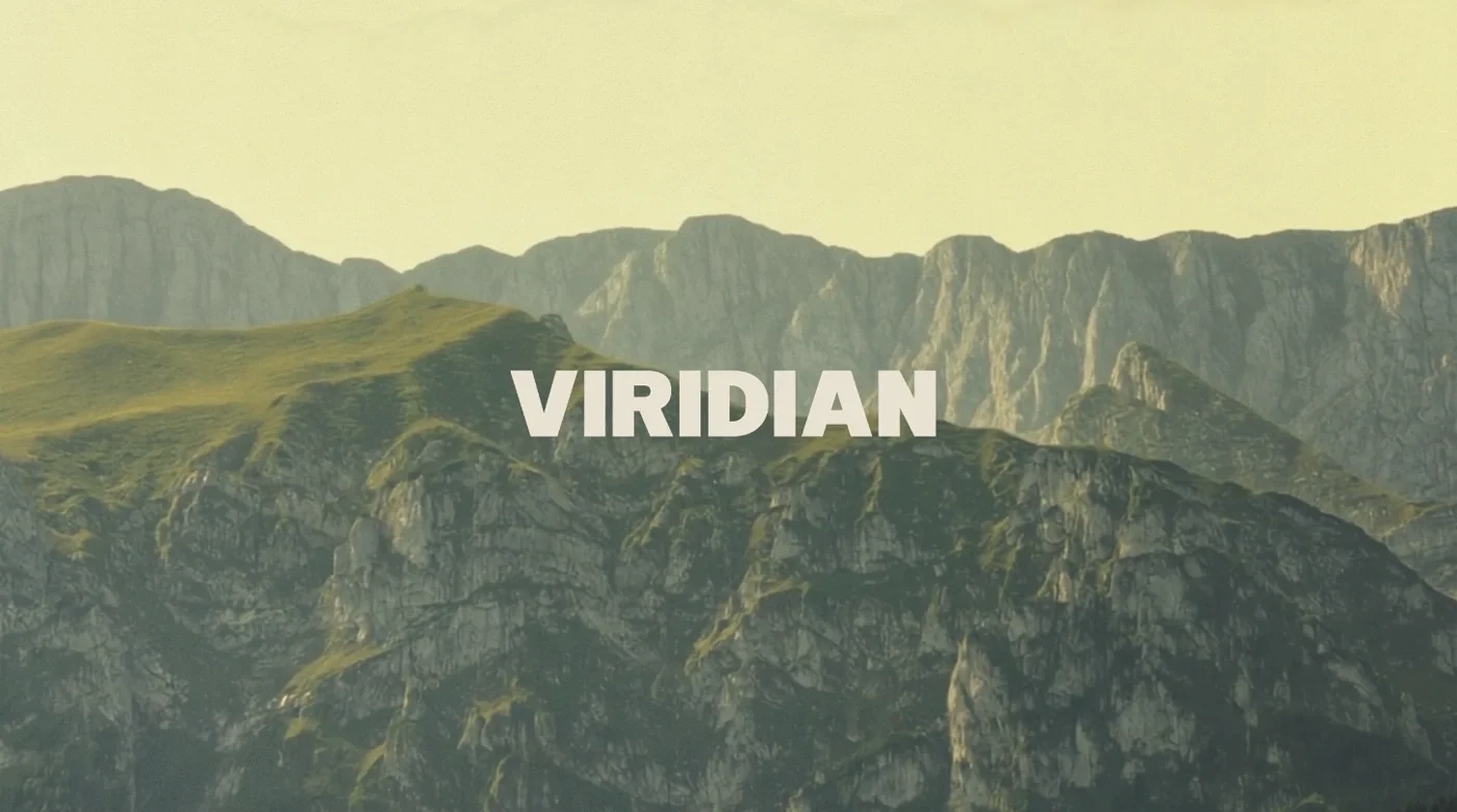 Study Hall x Viridian