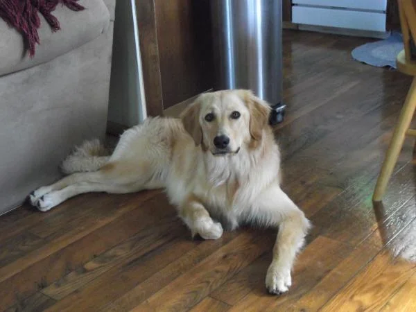 Cziva, relaxing