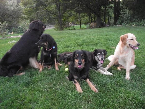 group.jpg