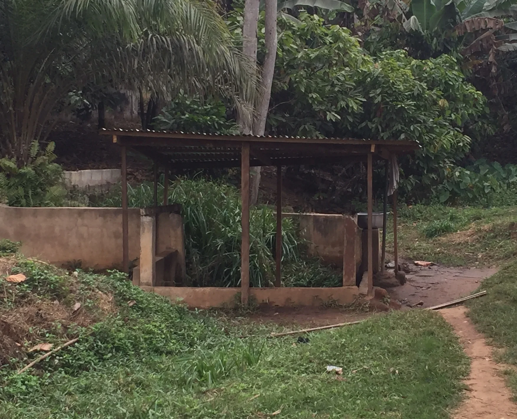 A vital water source, but is inhabited by venomous snakes