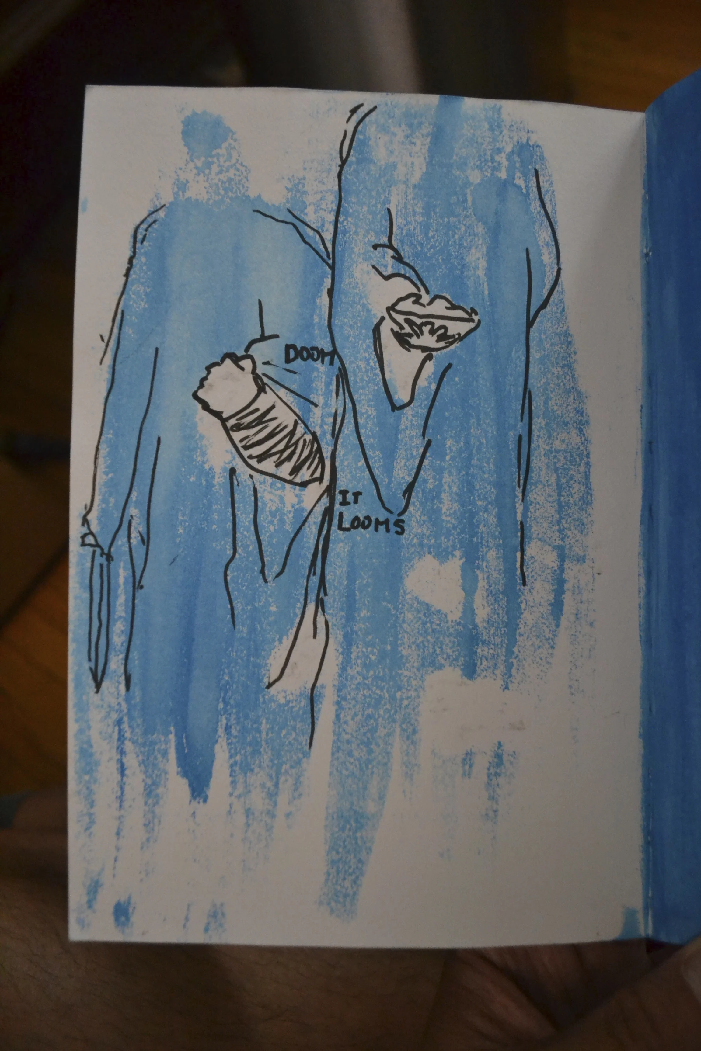 DSC_0652.jpg