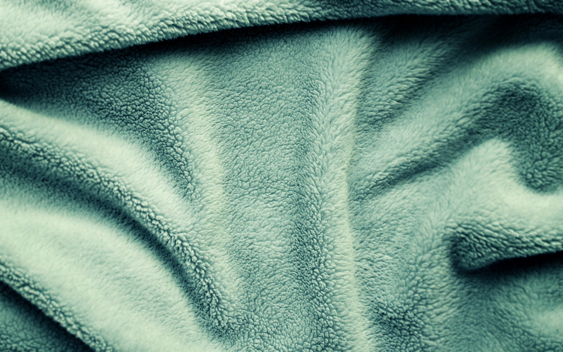 blanket.jpg