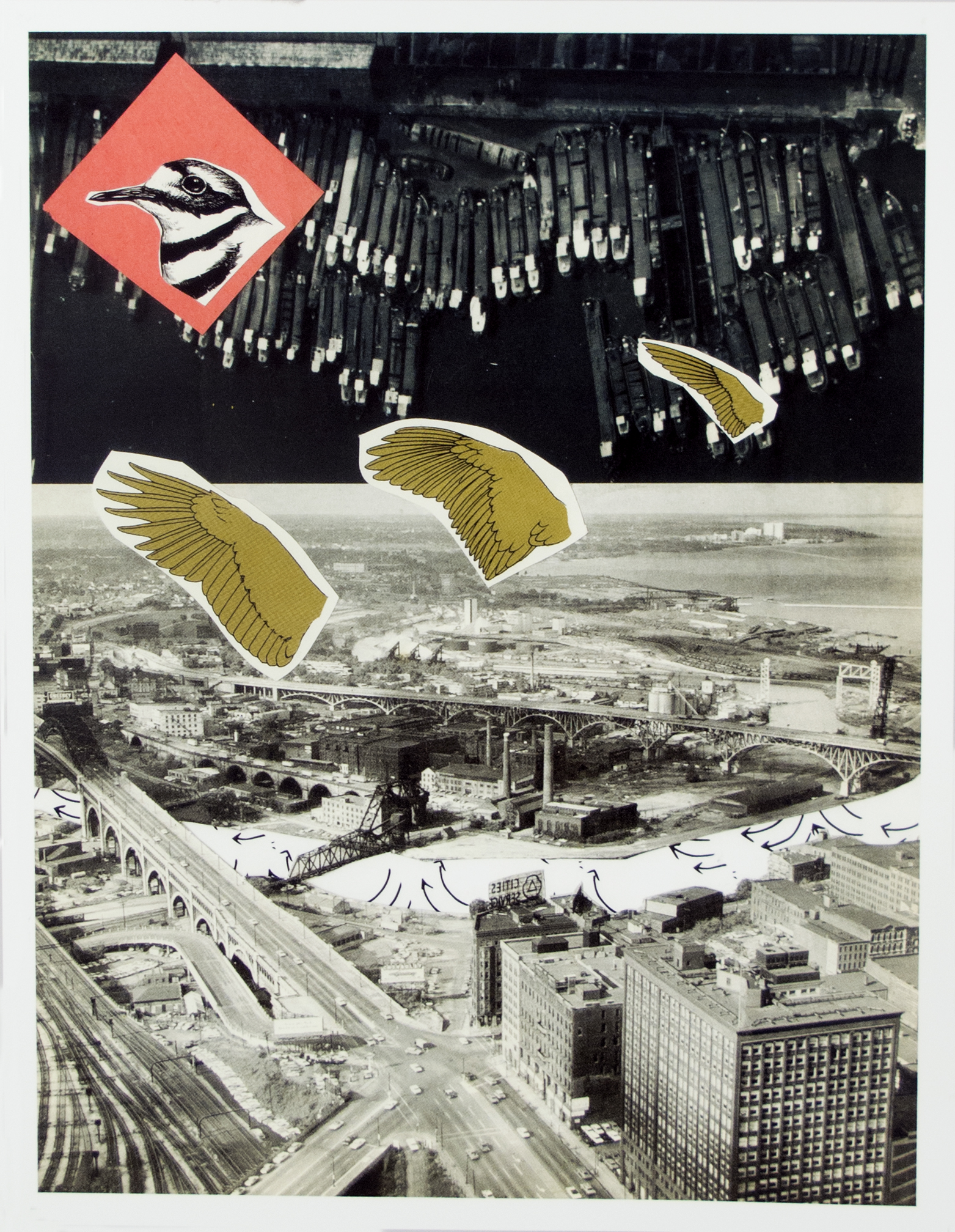 flight_collage_1 copy.jpg