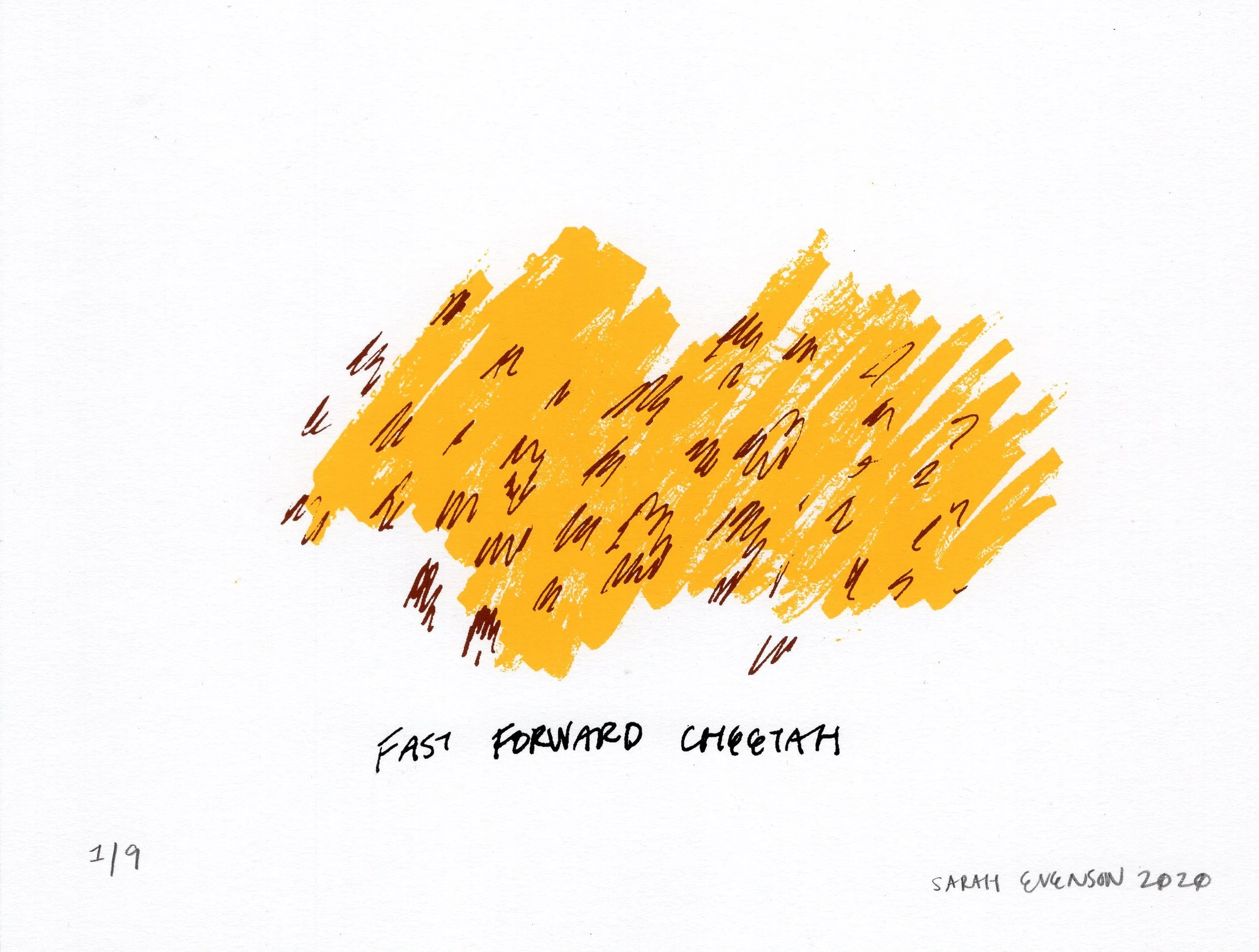 Fast_Forward_Cheetah001.jpg