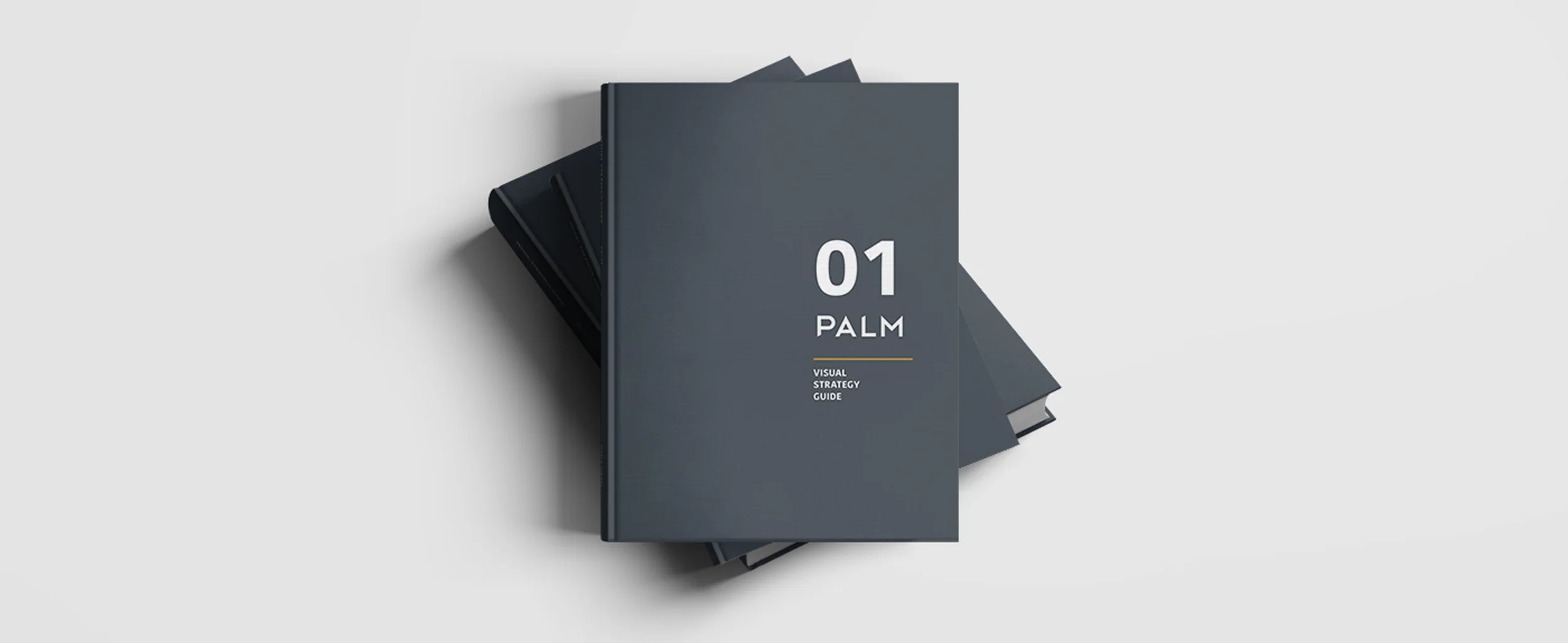 Palm_book 4jpg.jpg