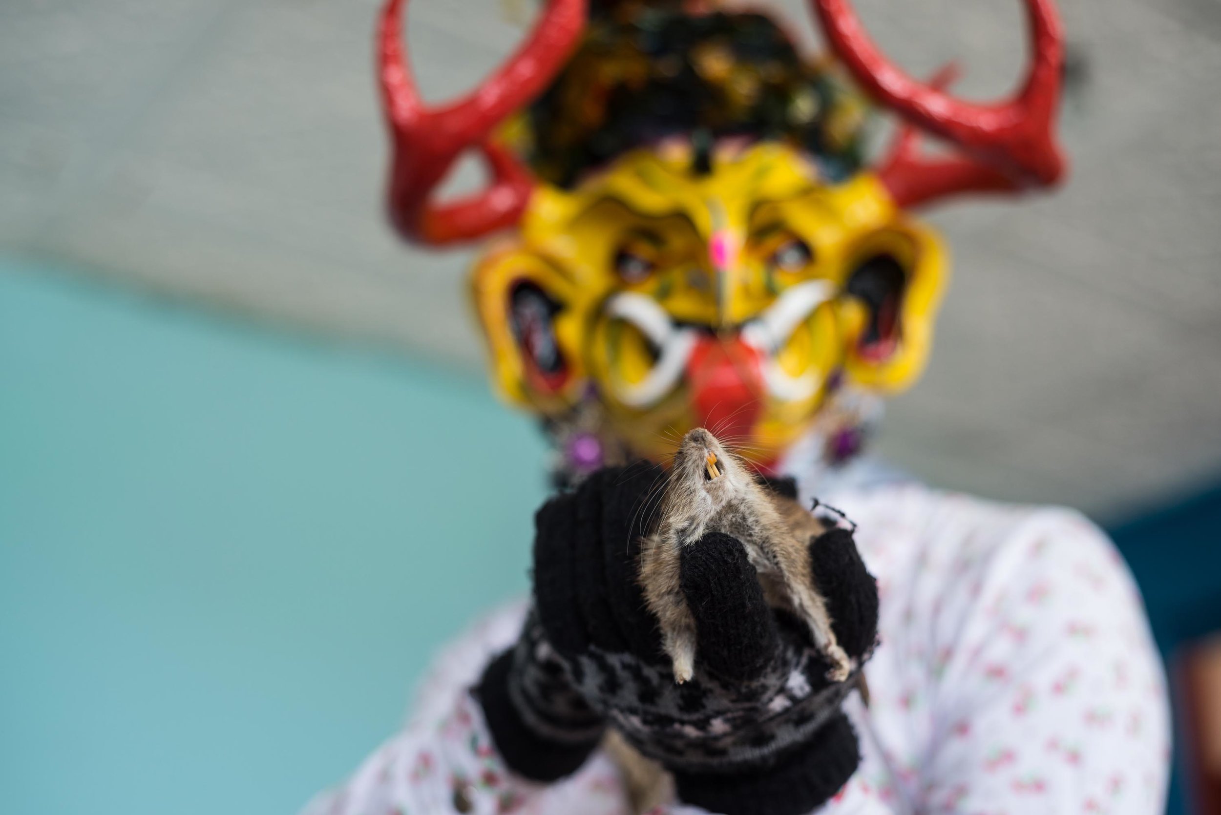 Diablada II. Píllaro, Ecuador (2017)