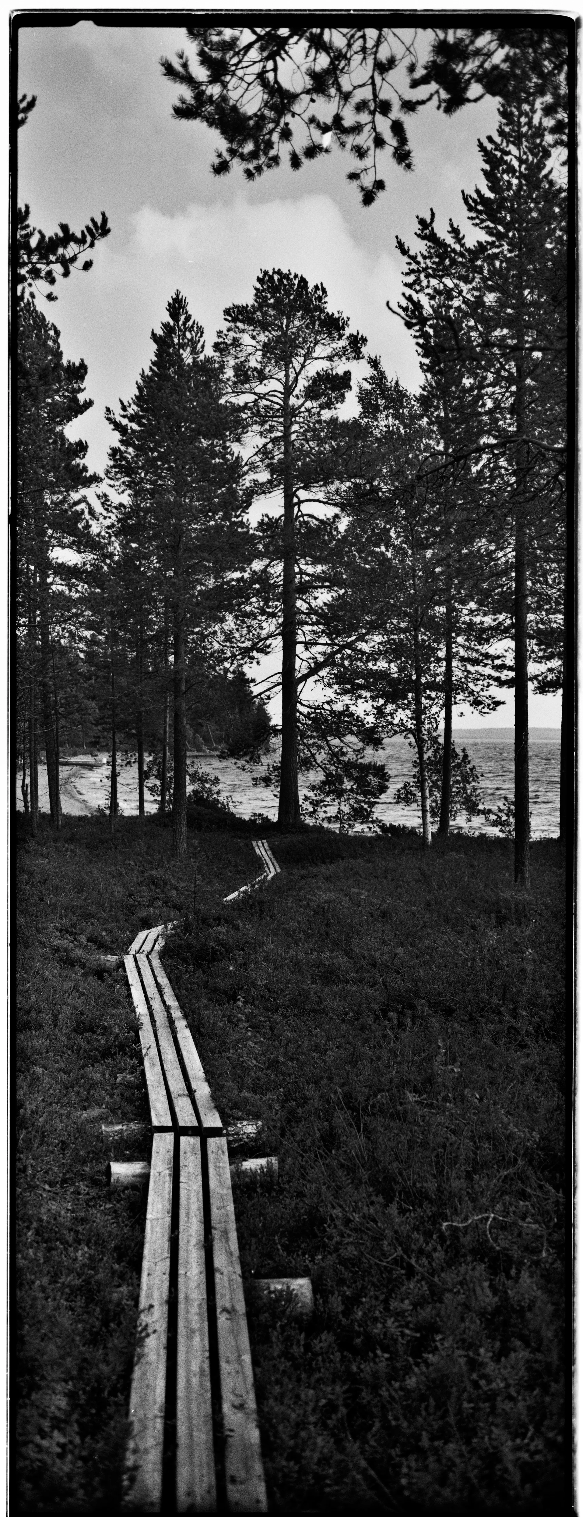 Untitled-(6)-(52).jpg