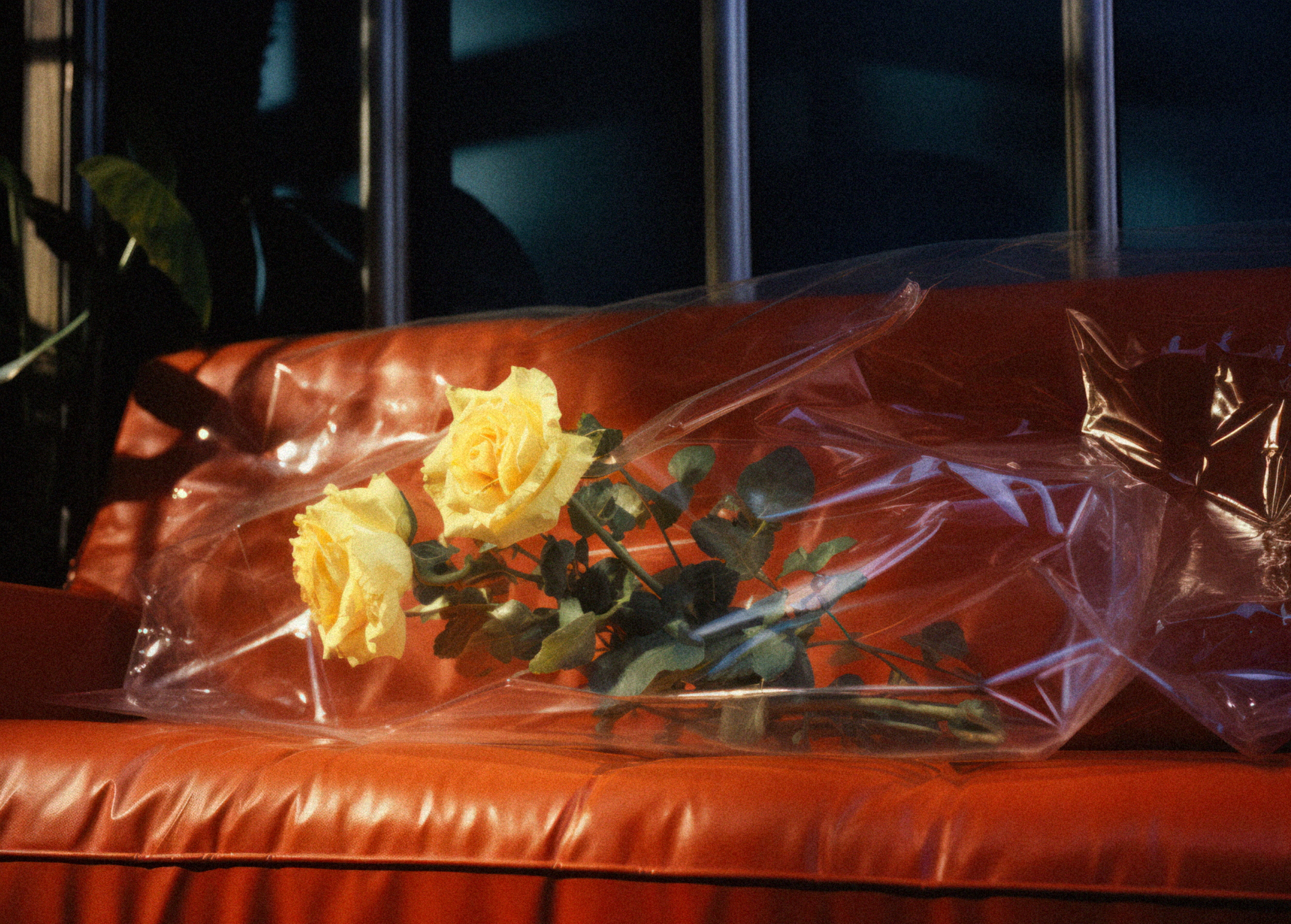 tuukkaervasti_a_yellow_flower_in_plastic_wrap_discarded_on_a_re_3b572115-9d60-4f1e-905b-73811b7d734e copy.png