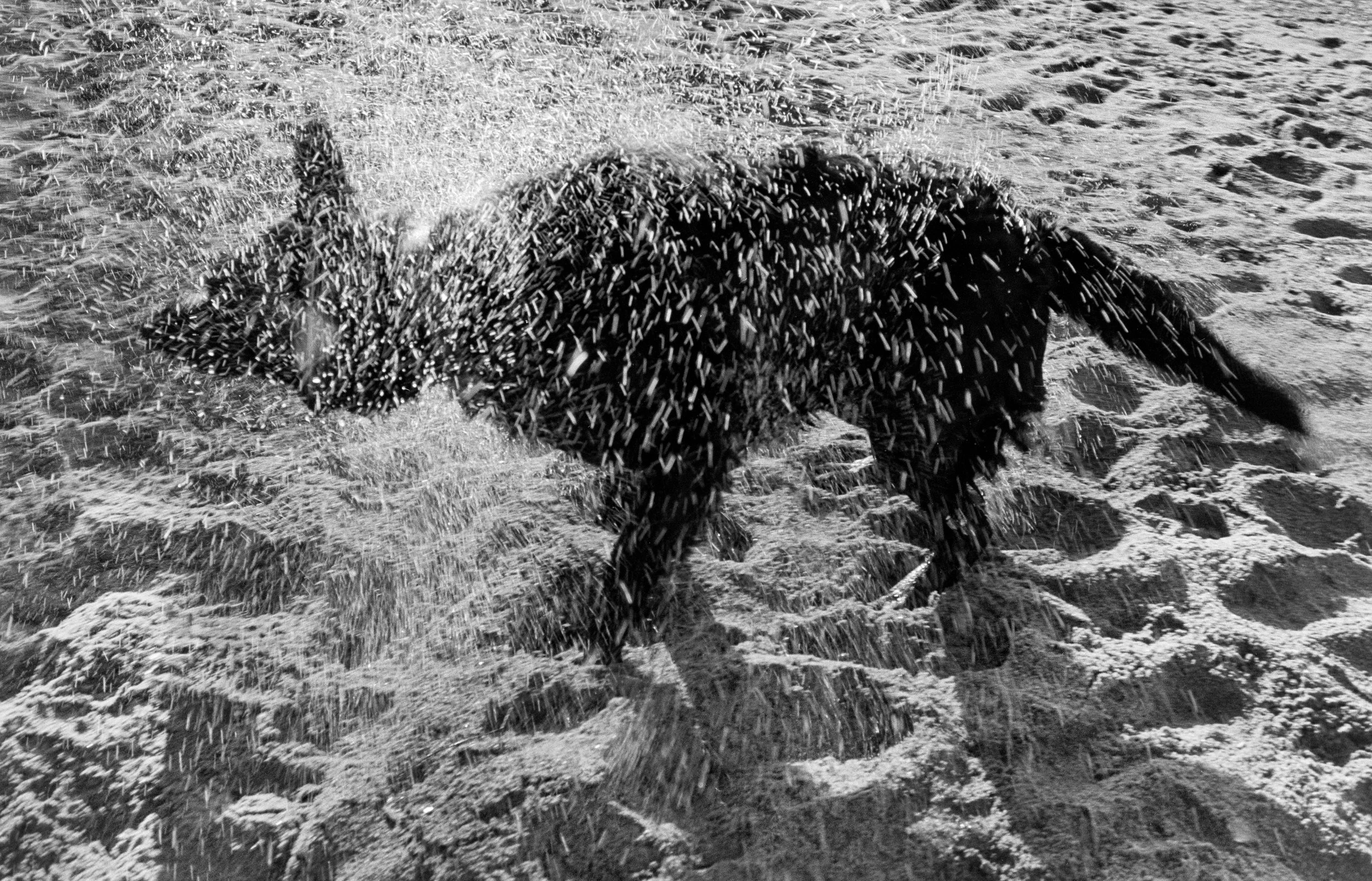 DSC04705 copy_Original.jpeg