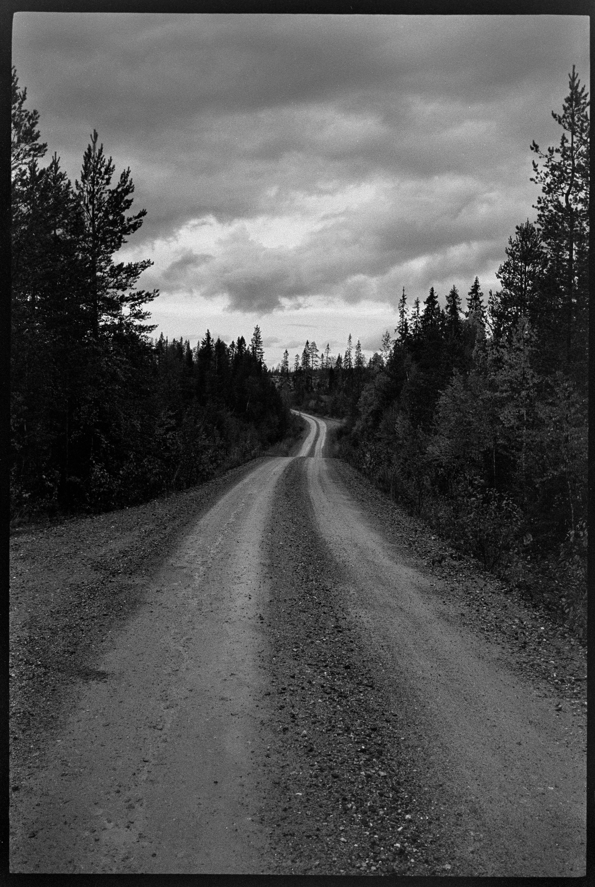 DSC04681 copy_Original.jpeg