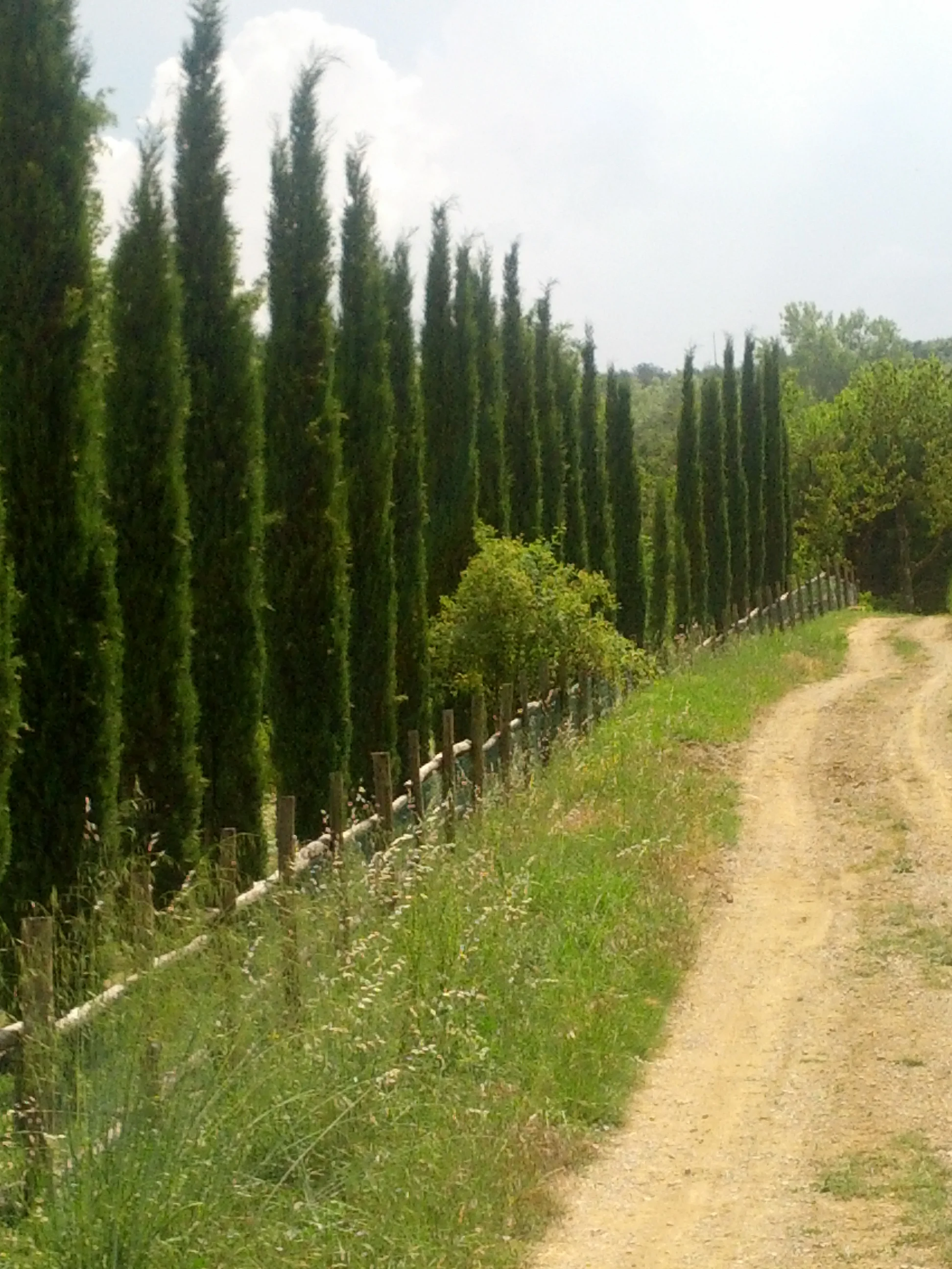 Interharmony 2015 Information Session