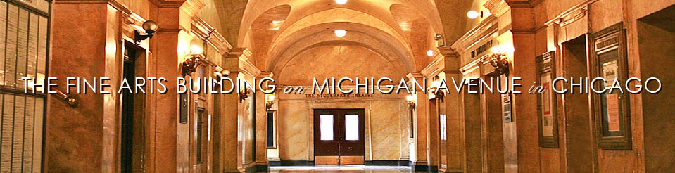 We are located in the beautiful and historic Fine Arts Building along the Chicago Cultural Mile .
