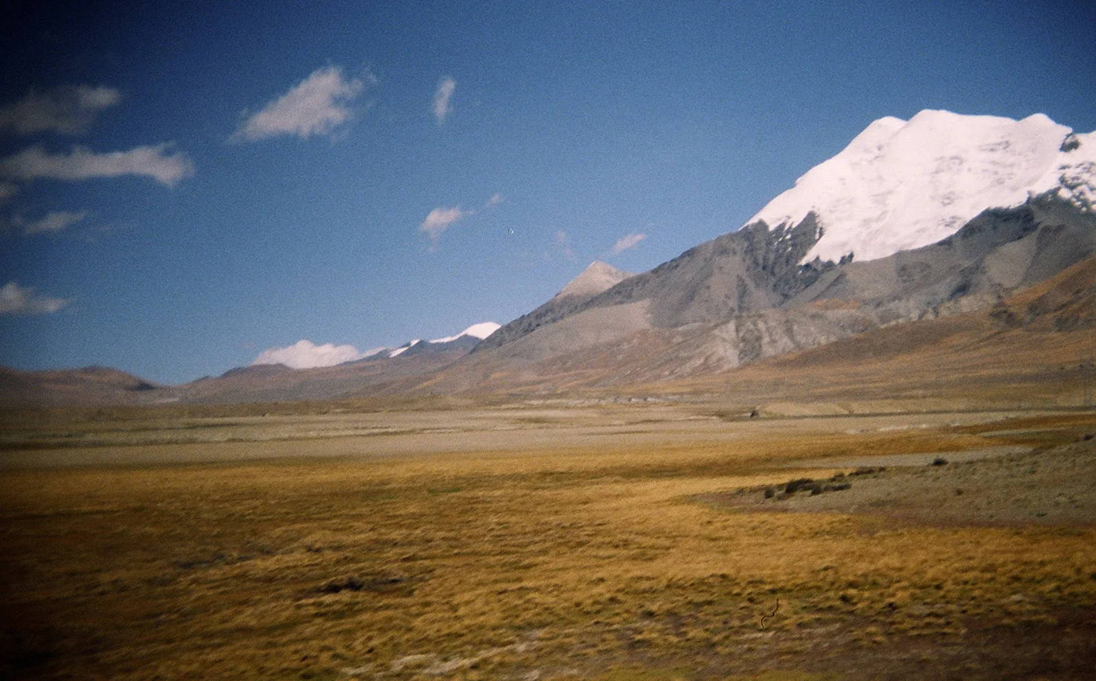 19660010.jpg
