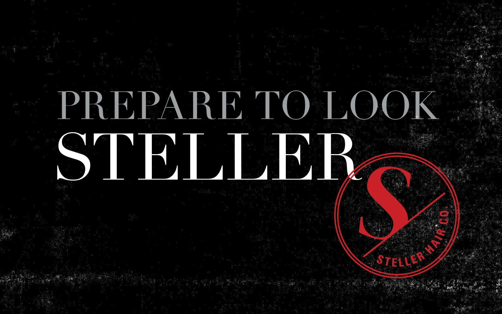 TDW_StellerHairCo_PrepareToLookSteller.jpg