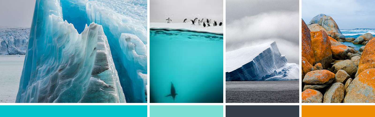 Iceberg-Identity_Colors.png