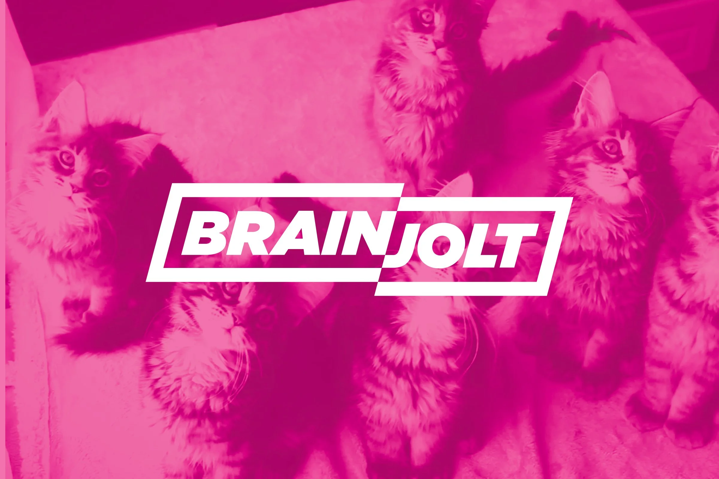 Brainjolt_01.jpg