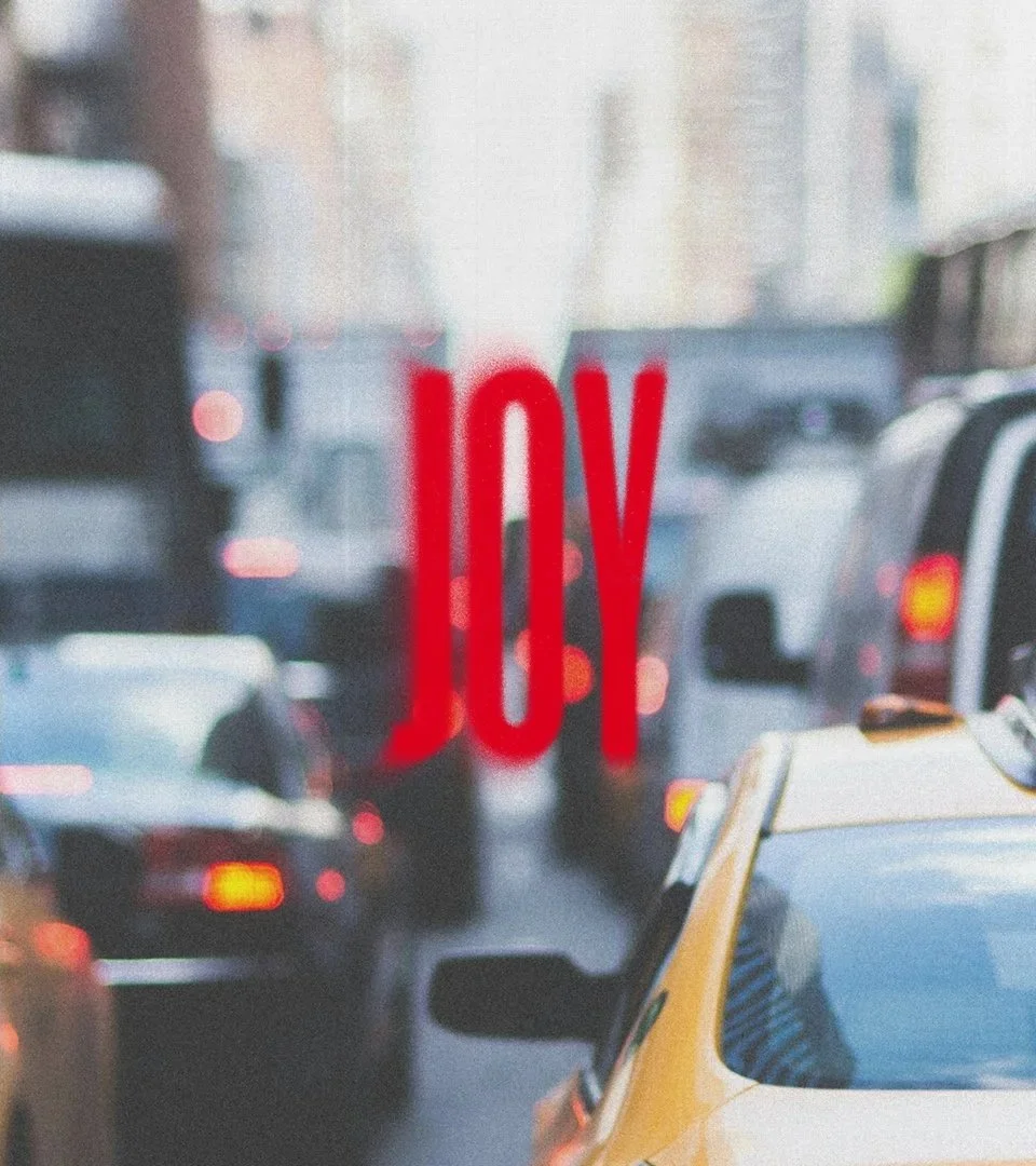 How to Fight for Joy