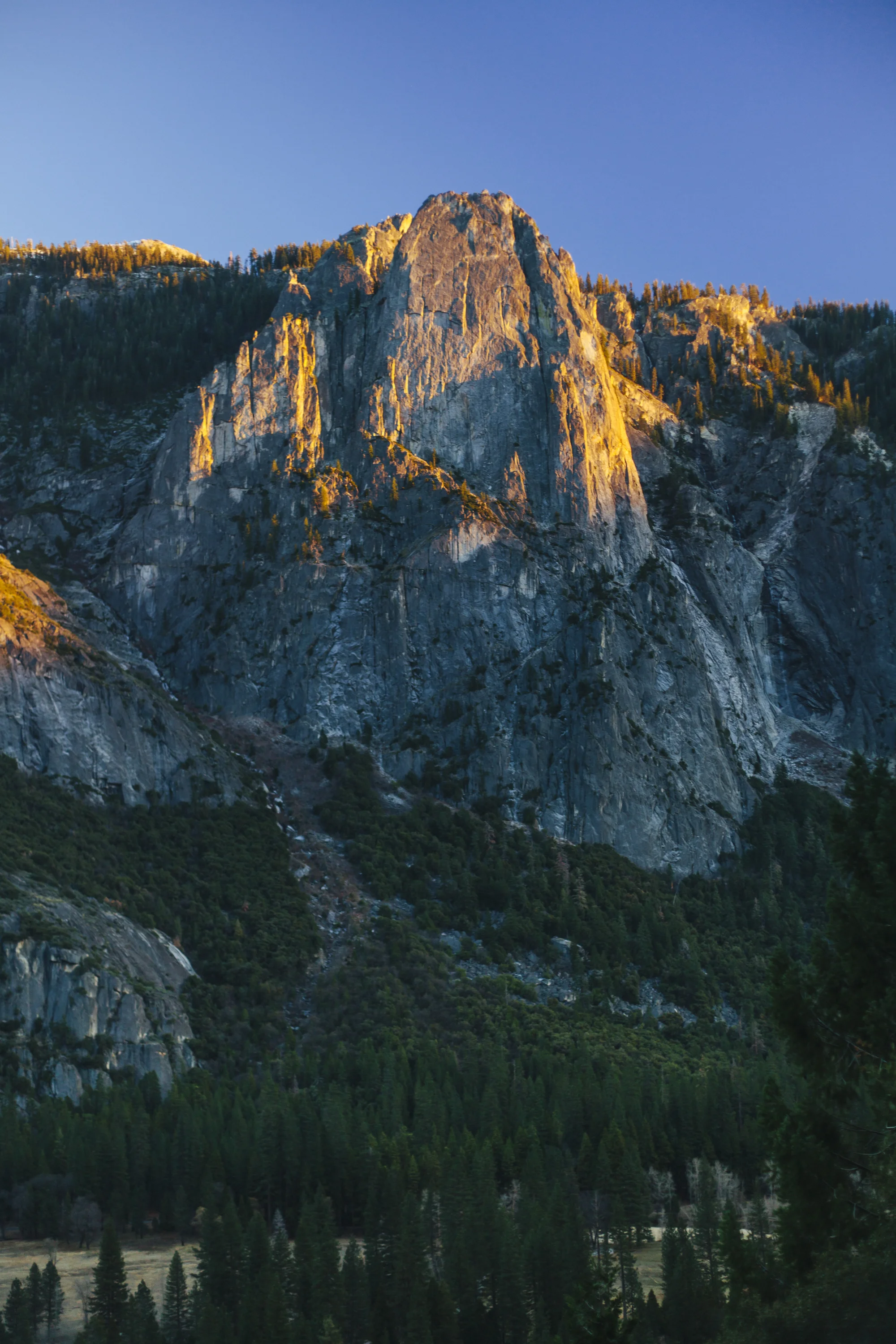 _MG_2812.jpg