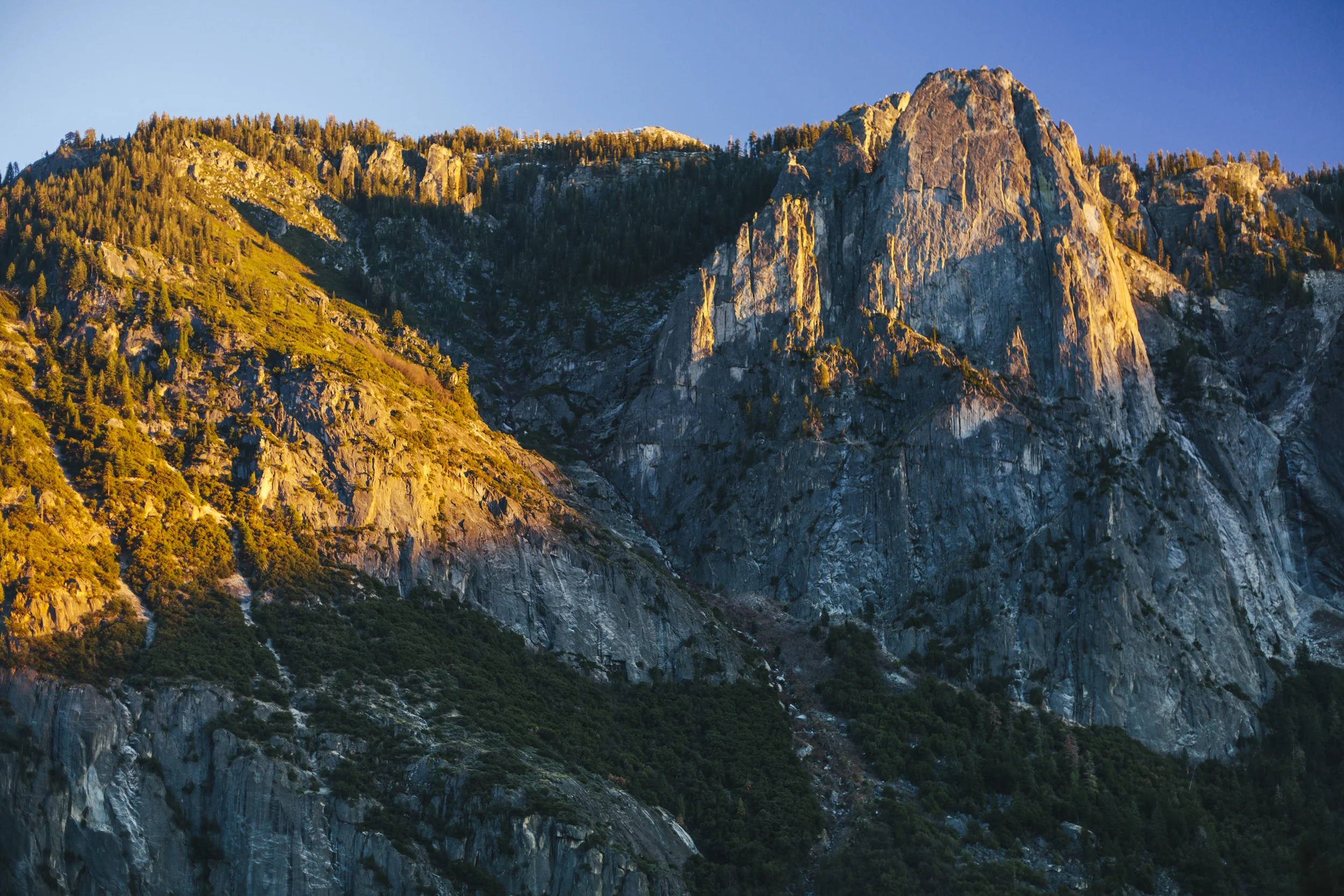 _MG_2815.jpg