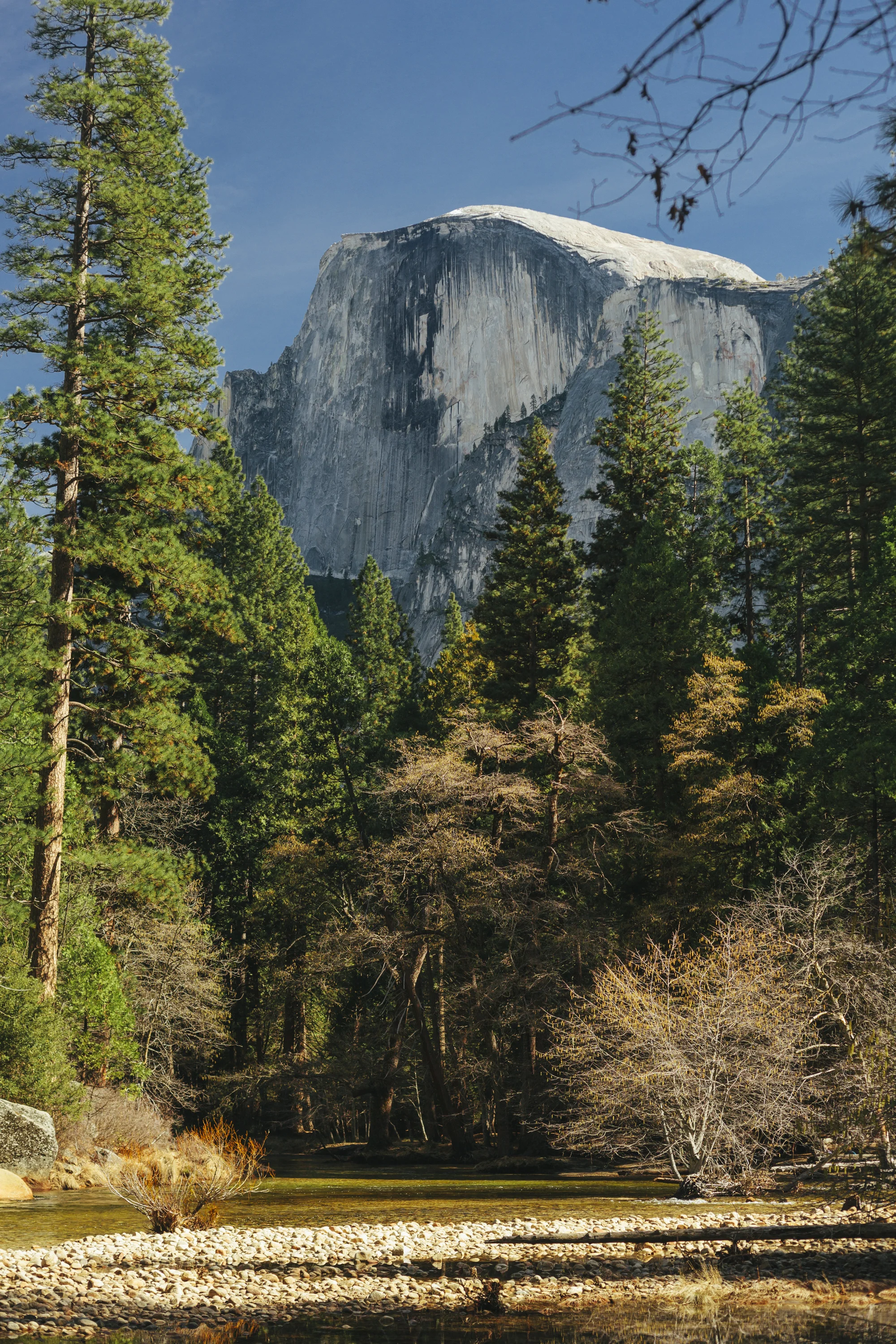 _MG_2866.jpg