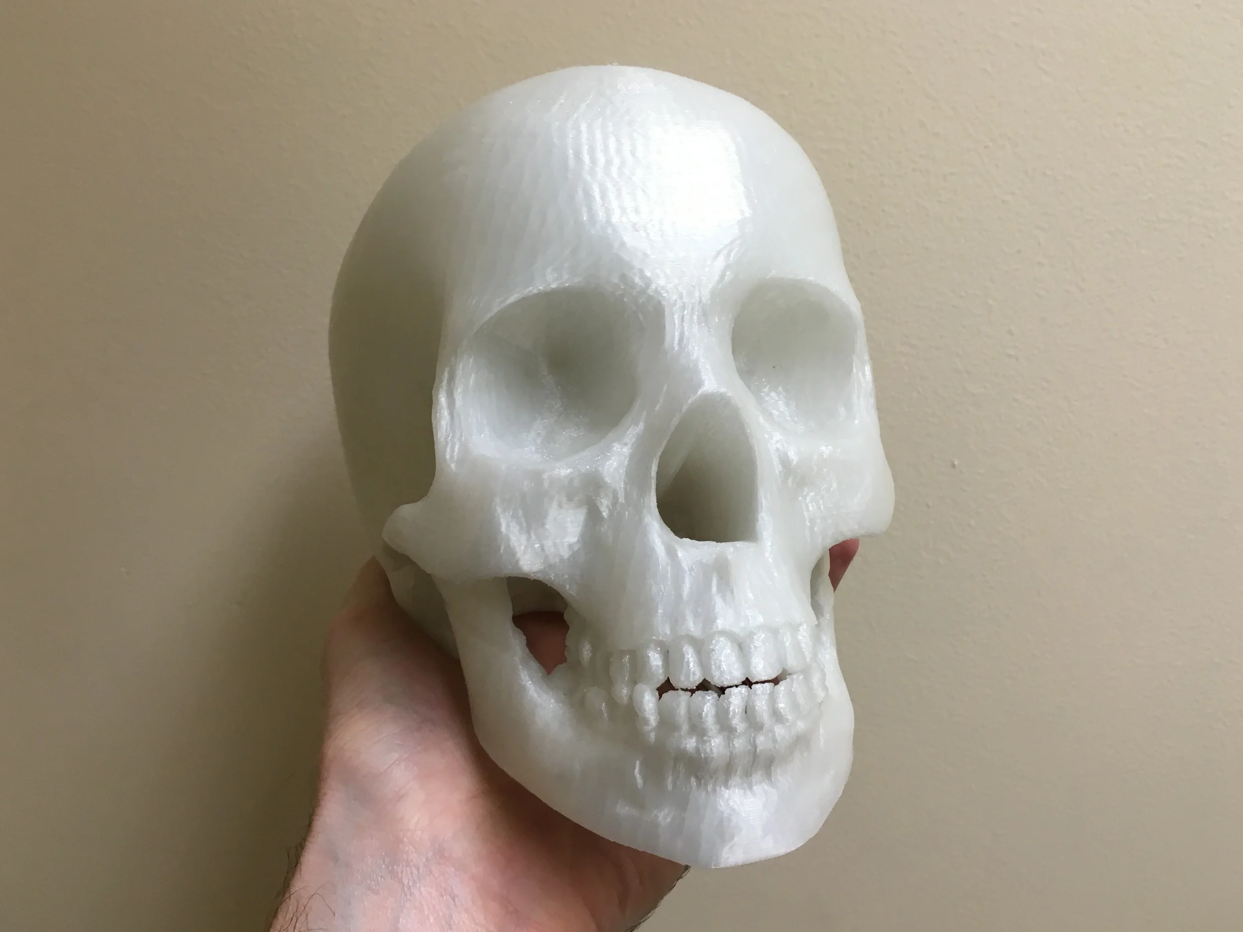 Life size 3D print of a human skull