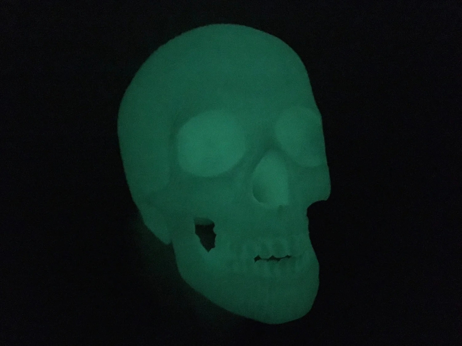 3D Printed Skull