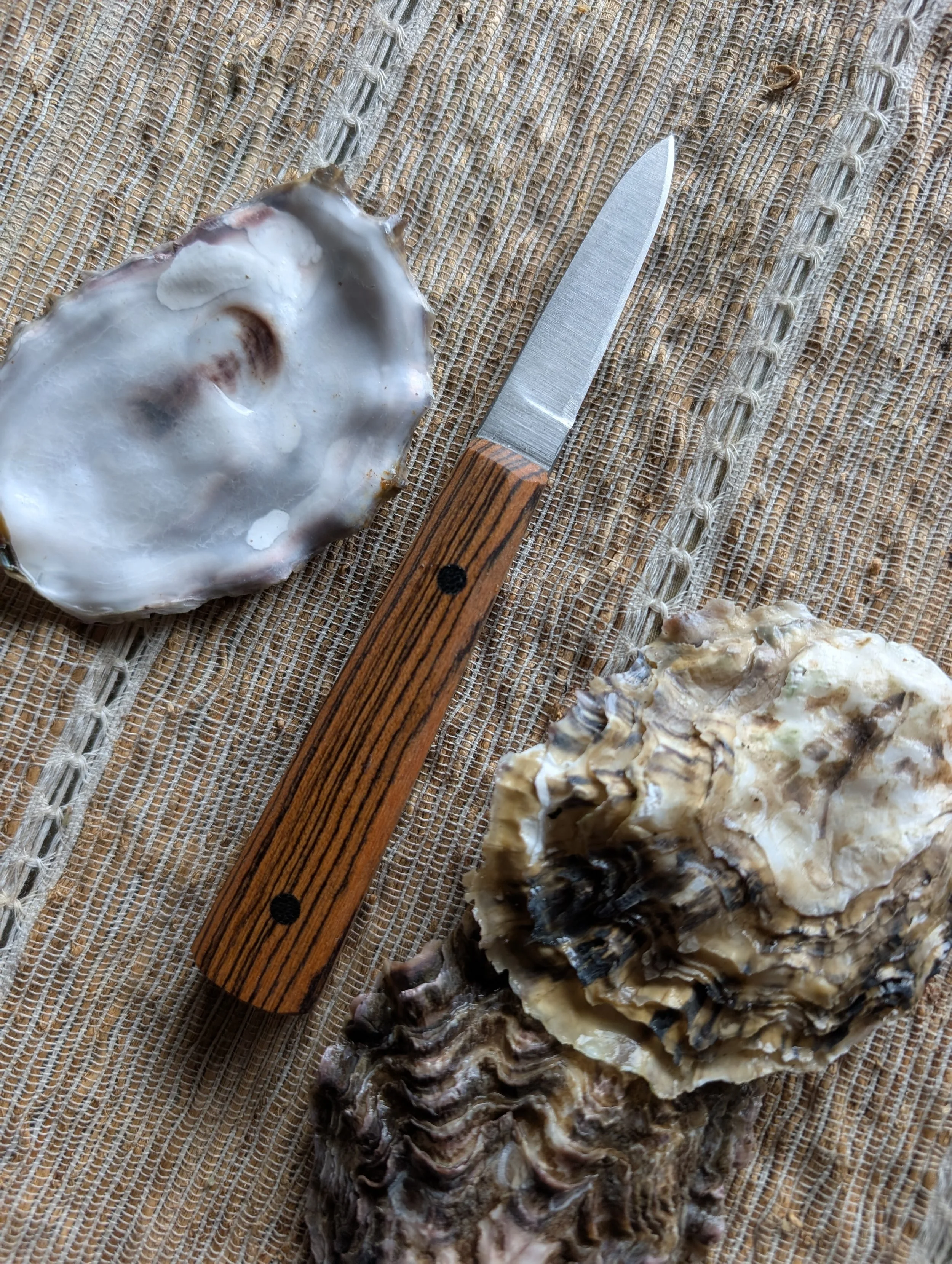 Oyster Shucker
