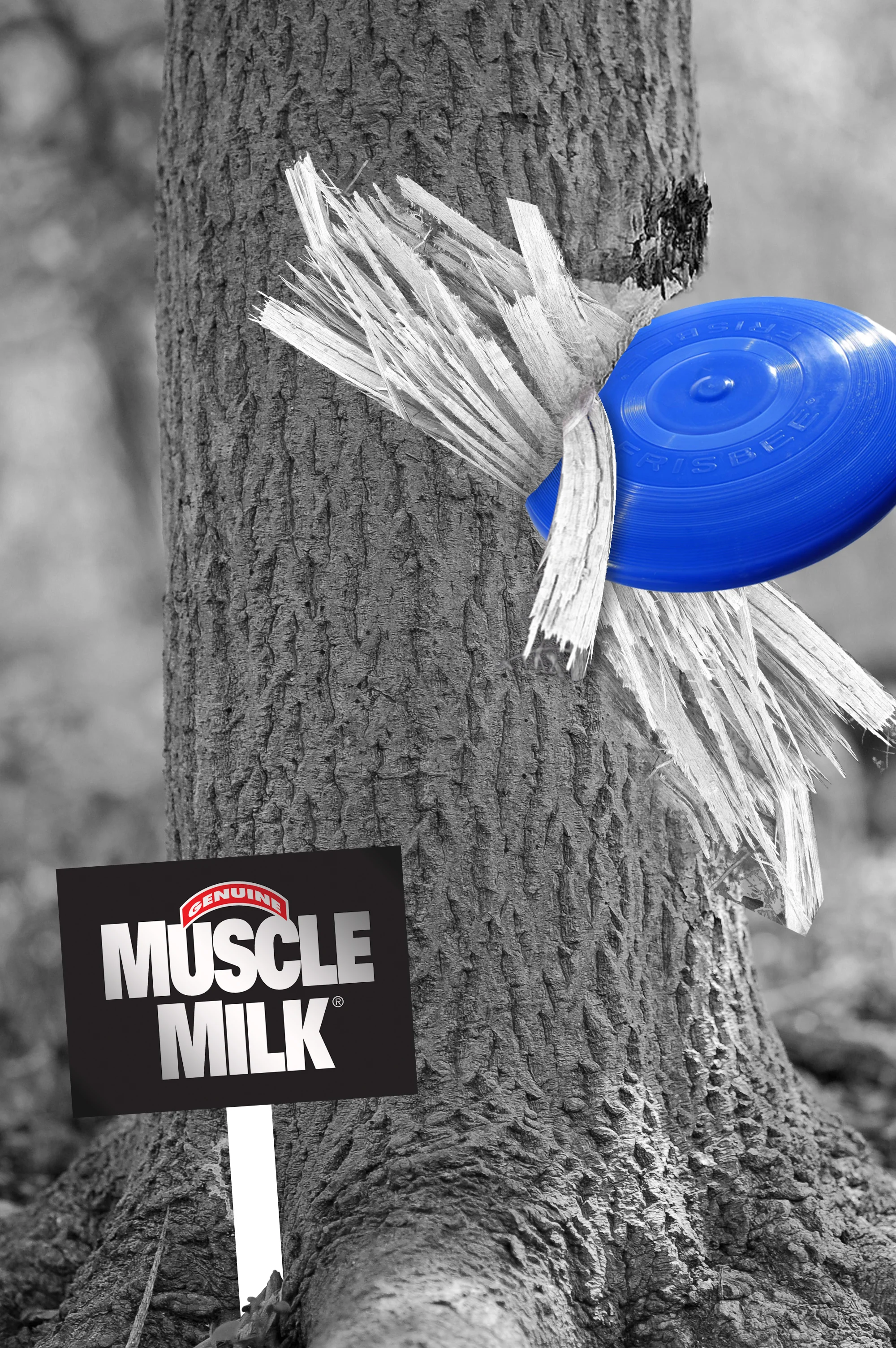 frisbee.jpg