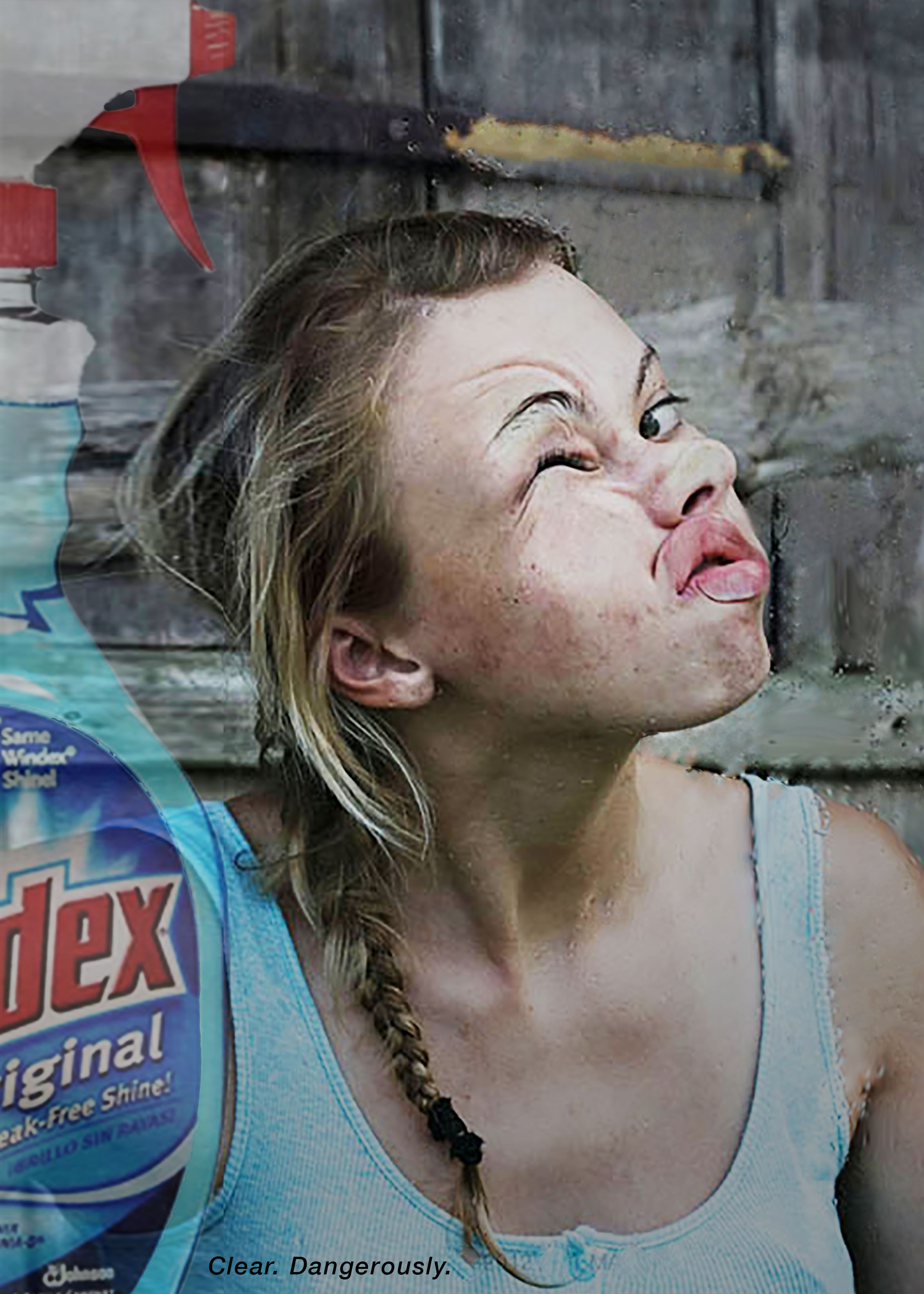 Windex1.png