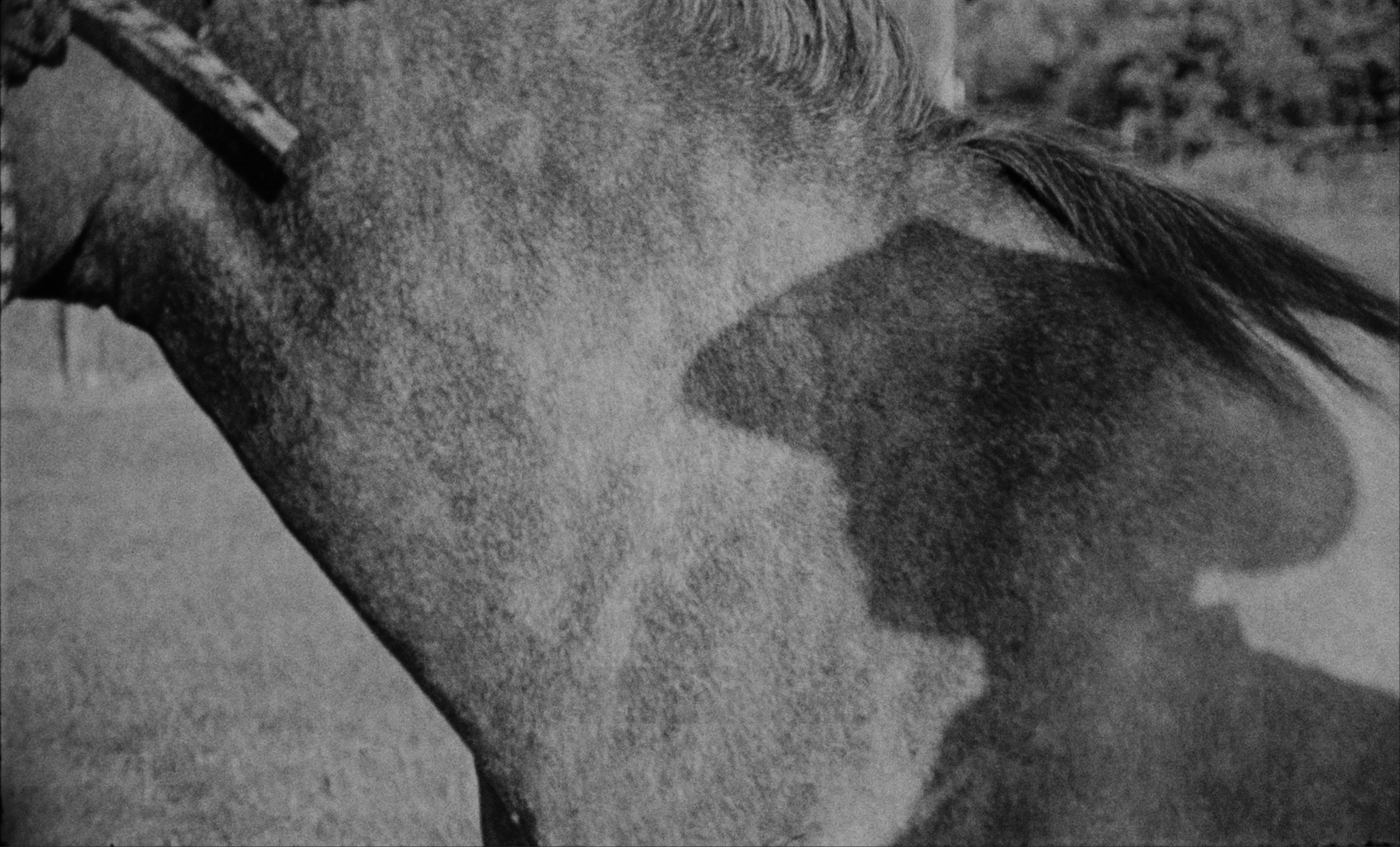 Screenshot 2025-12-03 at 3.41.47 PM.png