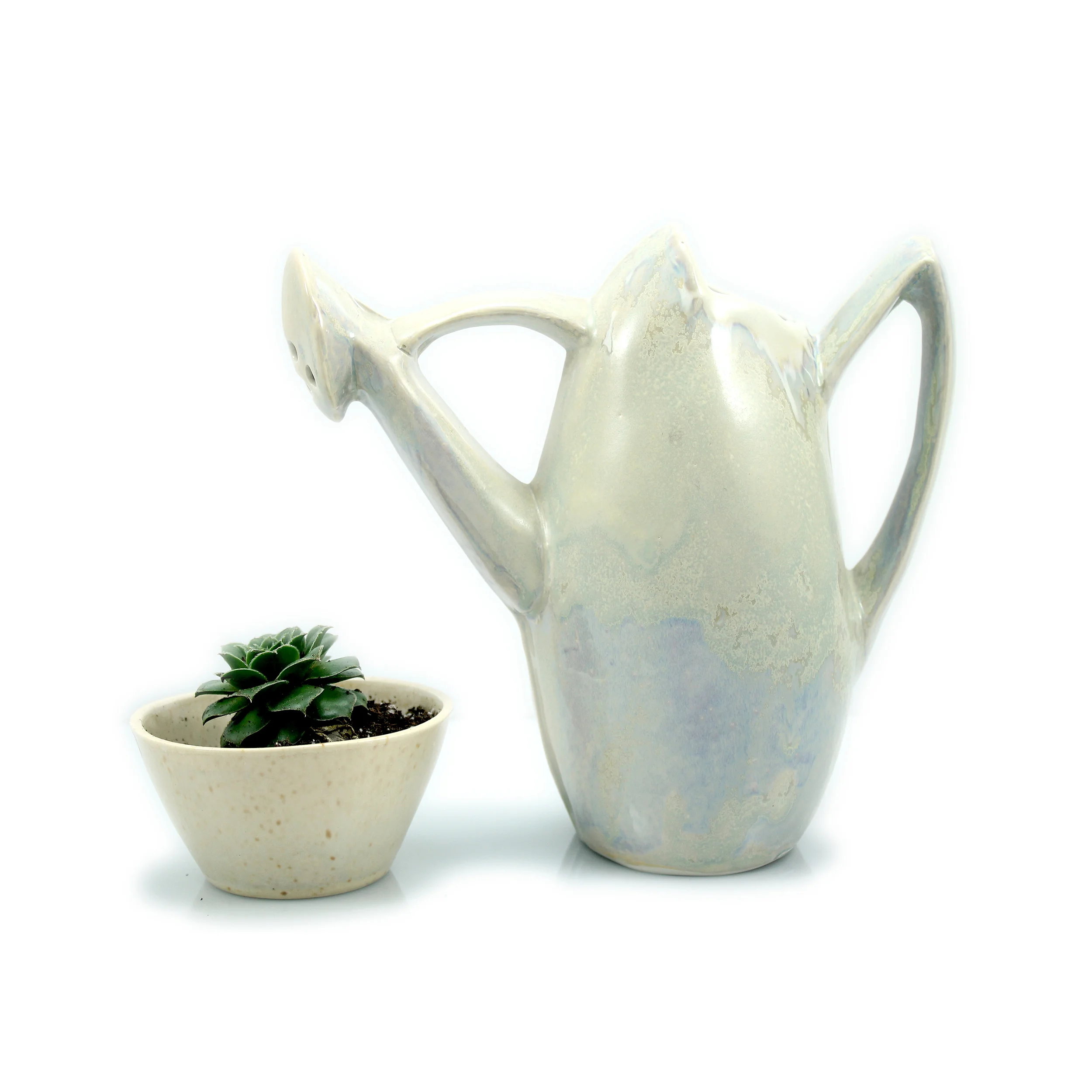 Watering Can and Plant1 copy.jpg