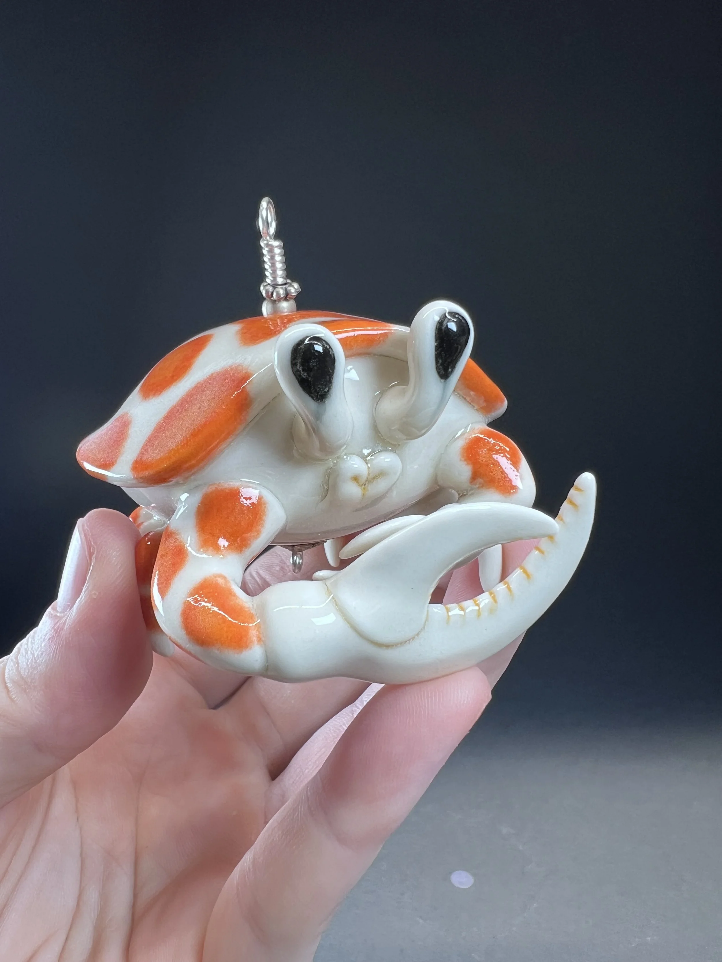 Calico Crab