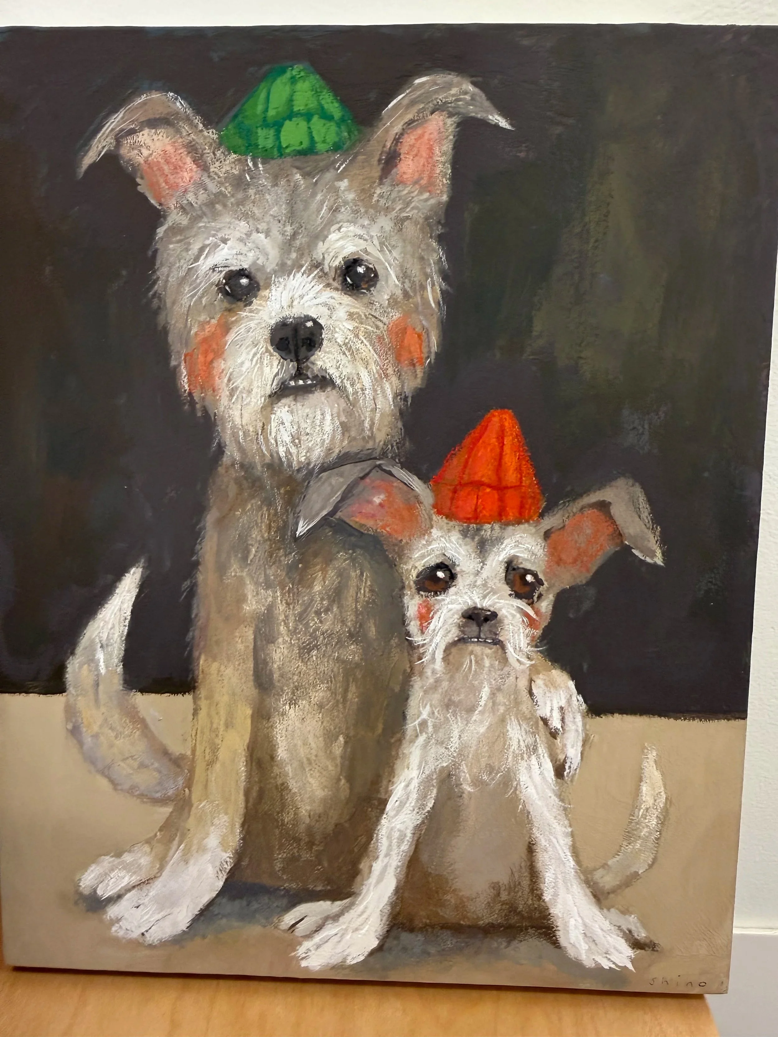 Pet Portraits