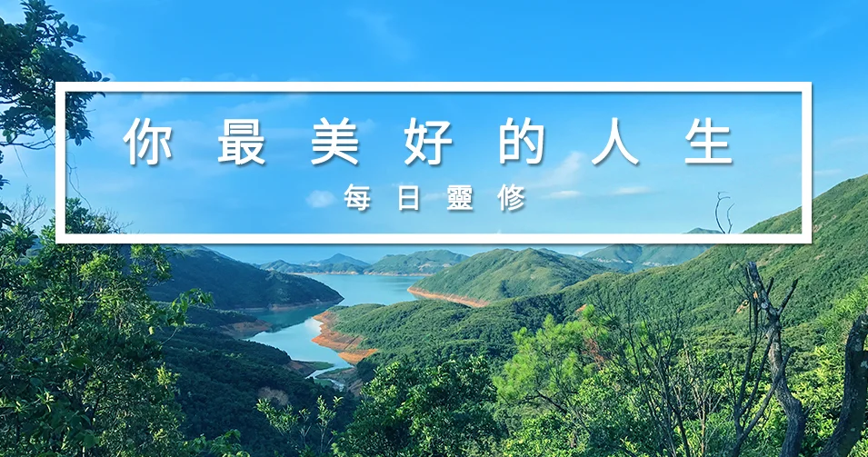 TC_DD Header.jpg