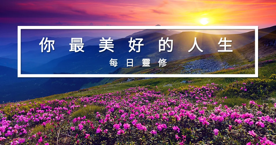 TC_DD Header.jpg